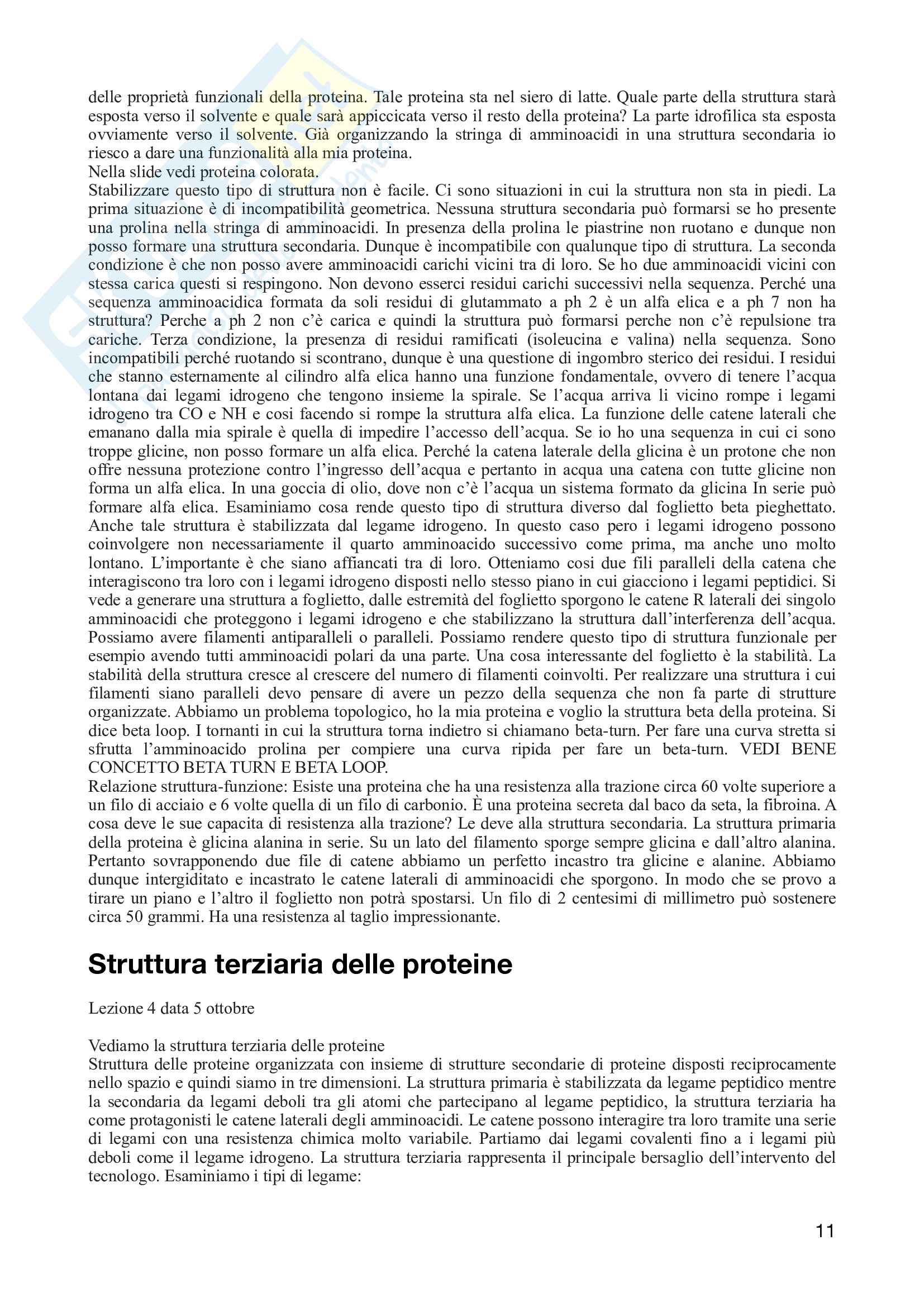 Biochimica generale con domande e risposte d'esame - prof Bonomi Pag. 11