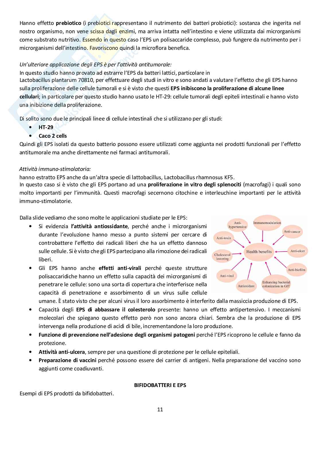 Microbiota umano e metagenomica Pag. 11