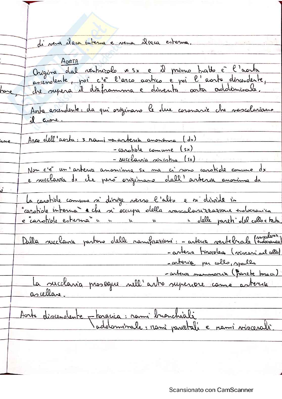 Anatomia - Quaderno 1 Pag. 21