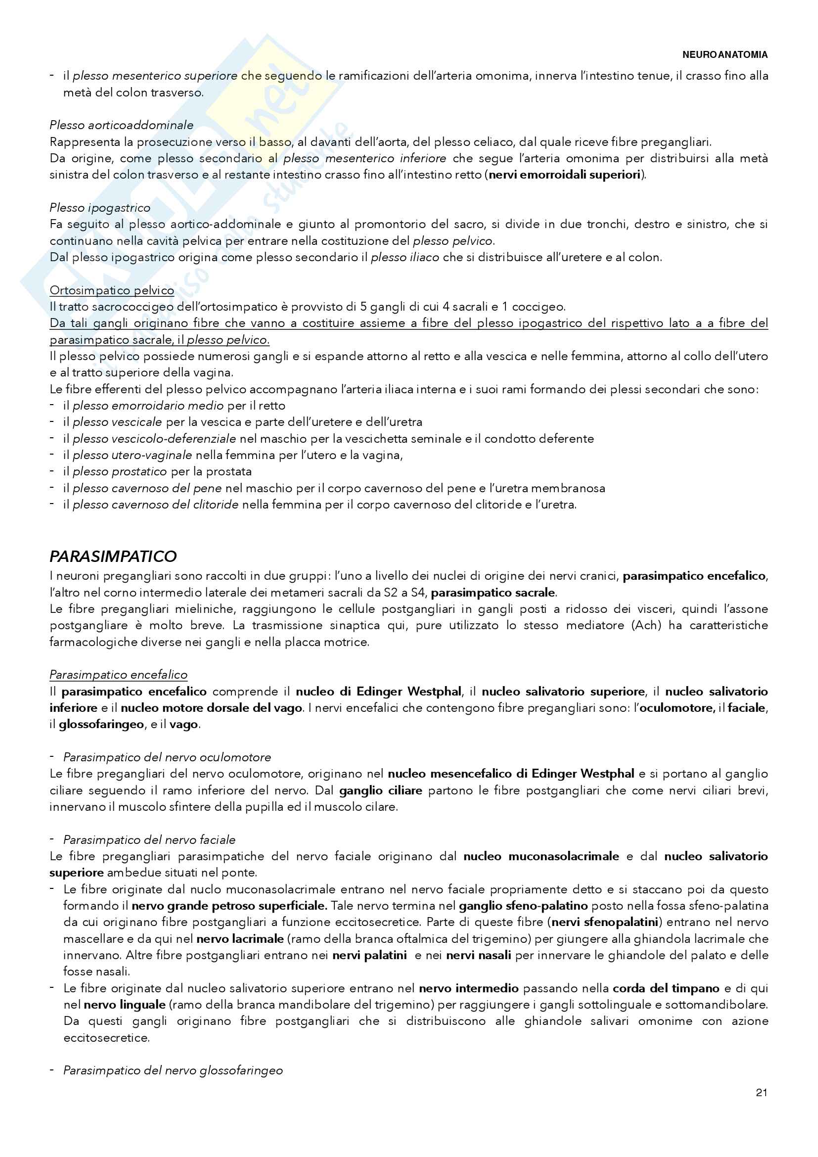Neuroanatomia Pag. 21