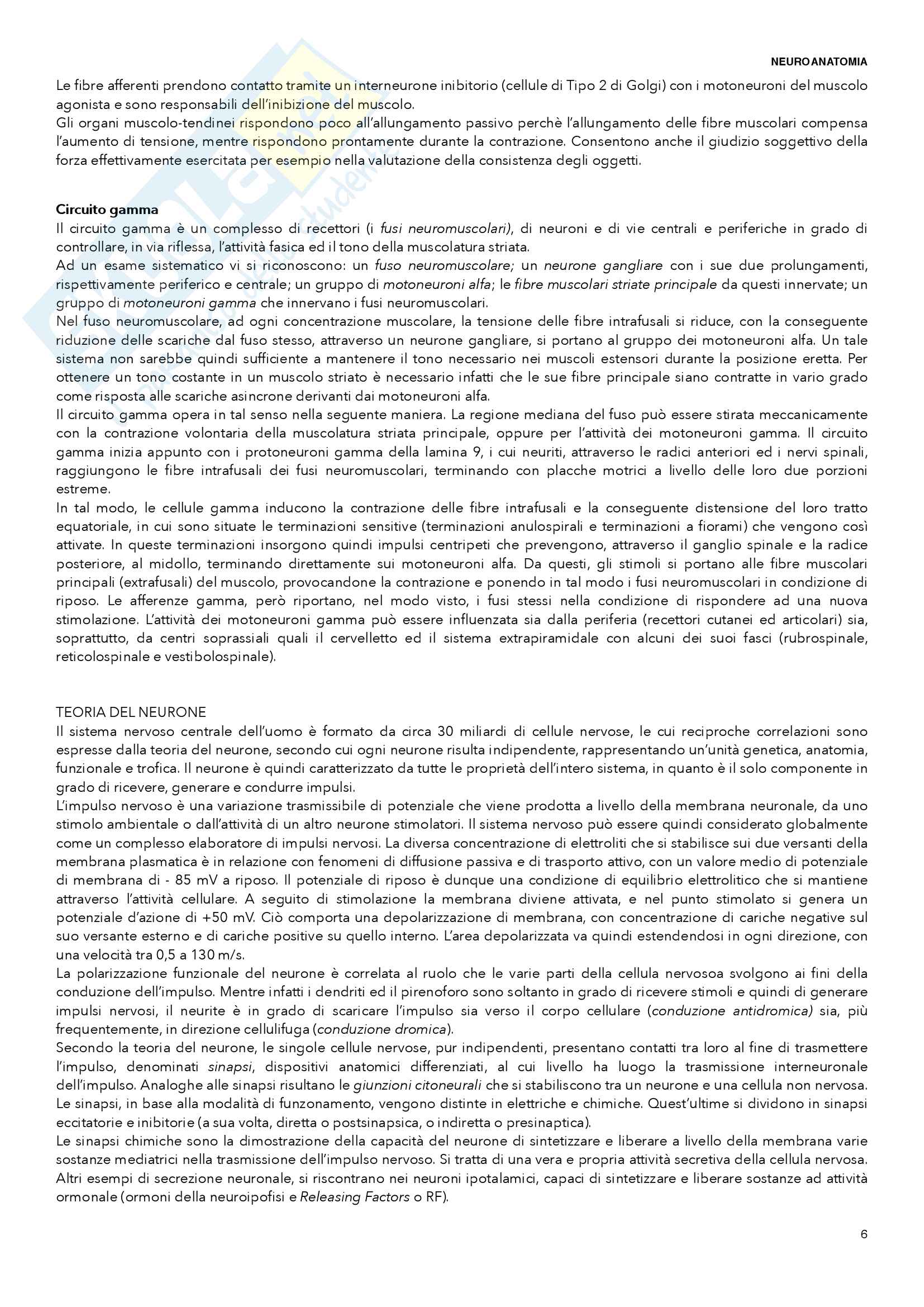 Neuroanatomia Pag. 6