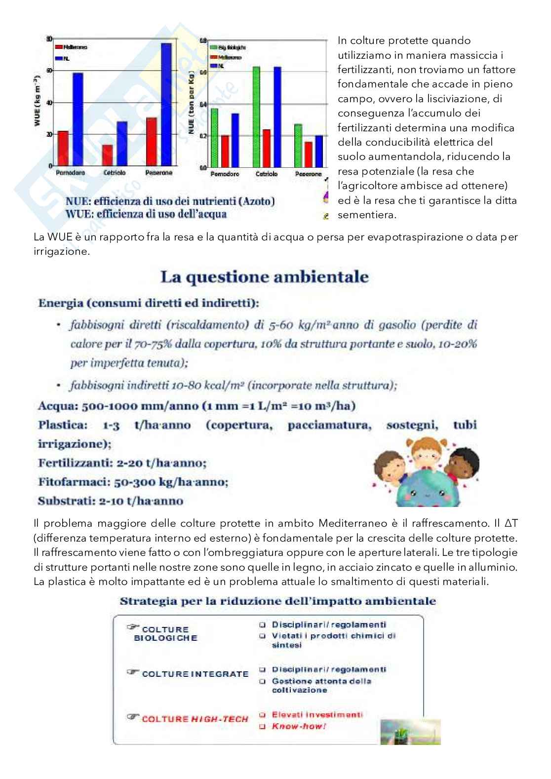 Appunti di Colture protette e ortoflorovivaismo Pag. 6