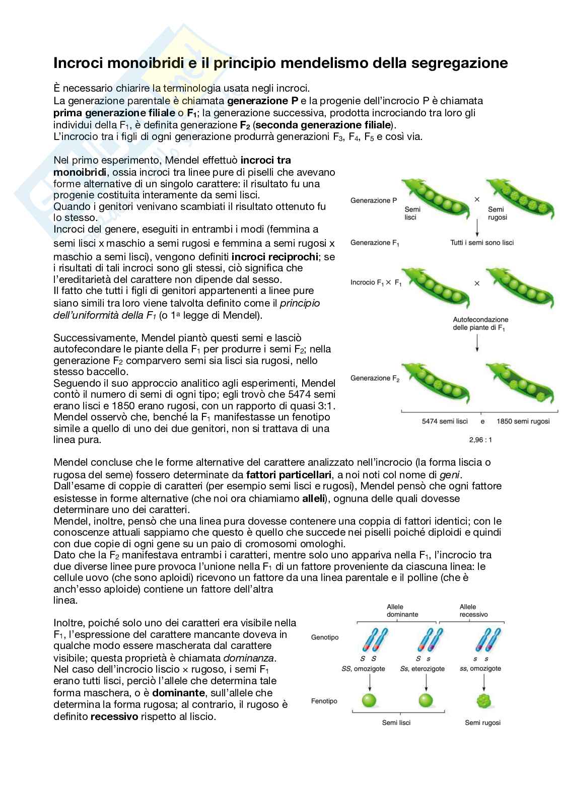 Genetica mendeliana Pag. 2