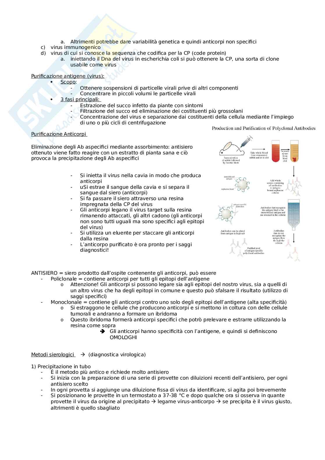 Diagnostica fitopatologica Pag. 2
