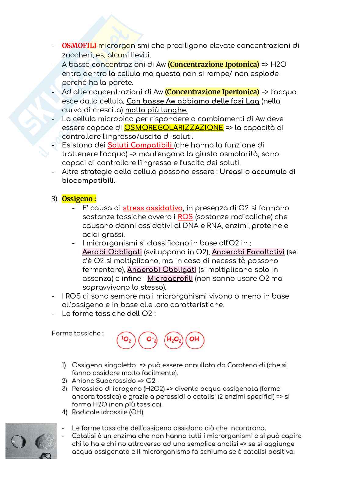 Microbiologia dei prodotti alimentari Pag. 16