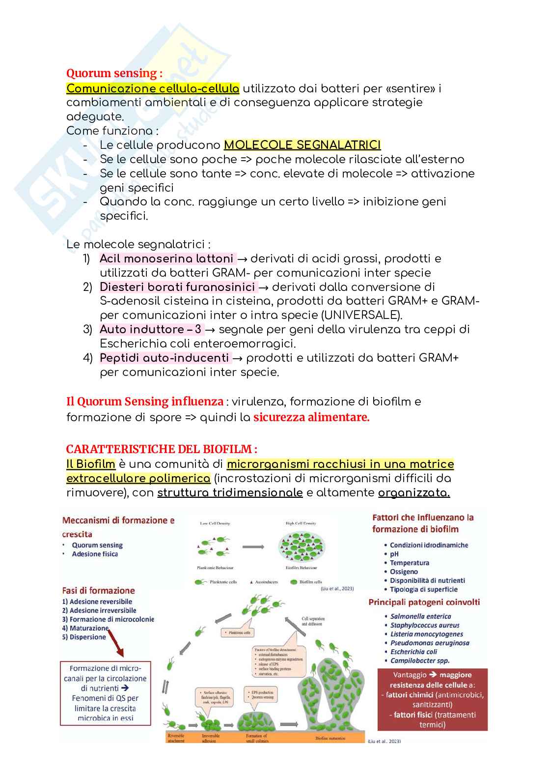 Microbiologia dei prodotti alimentari Pag. 21