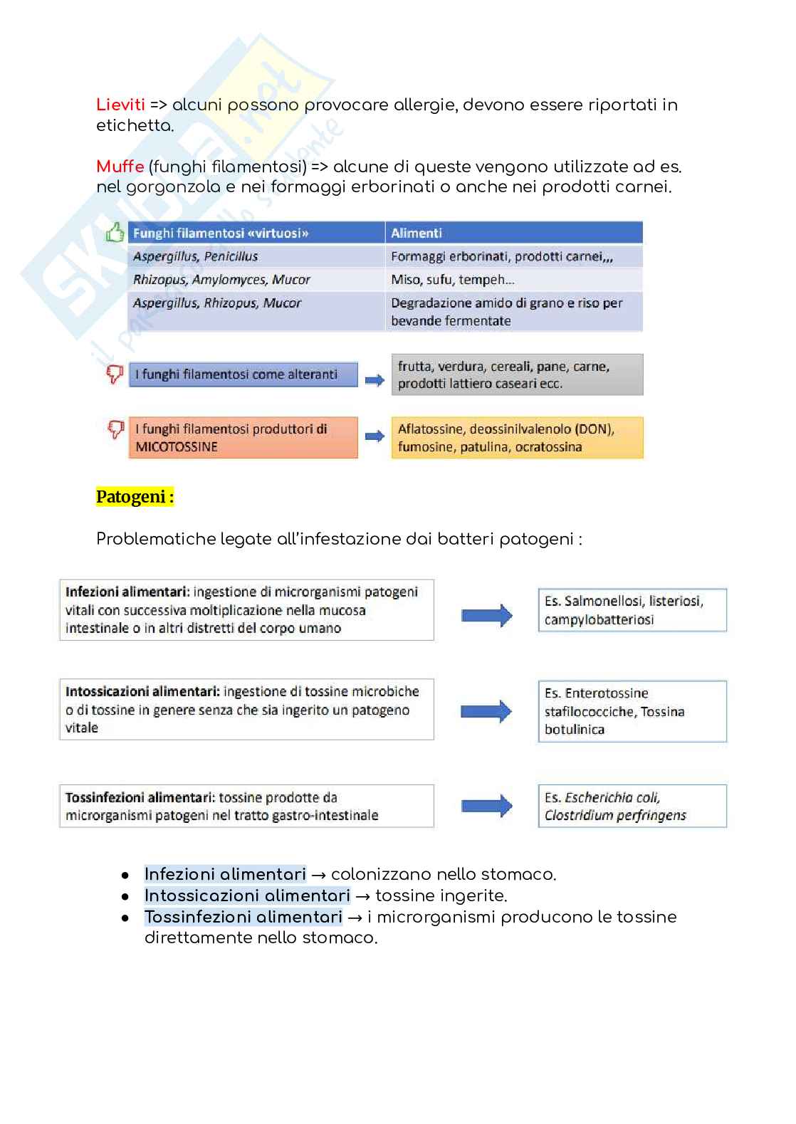 Microbiologia dei prodotti alimentari Pag. 6