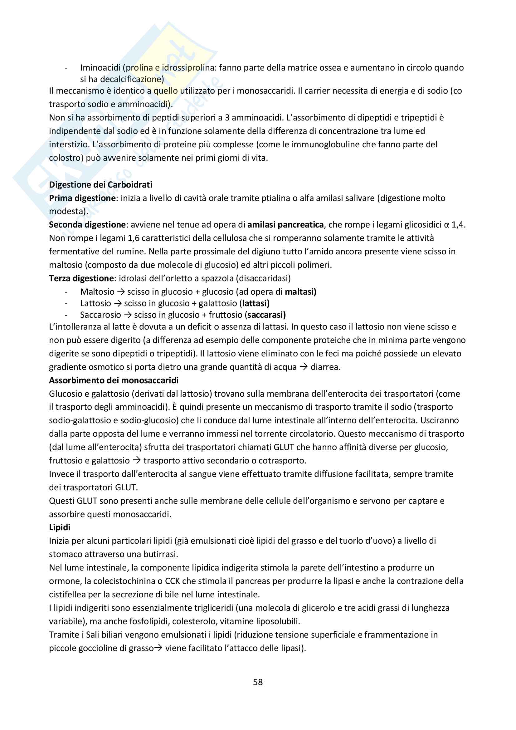Fisiologia veterinaria I Pag. 76