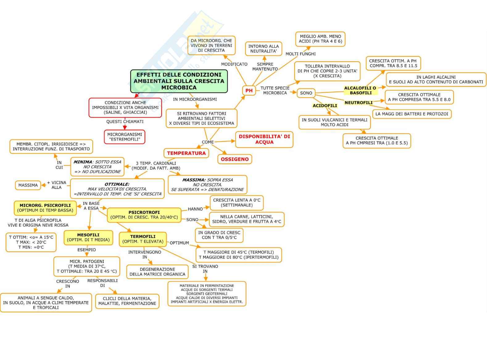 Mappe concettuali di Microbiologia generale Pag. 21