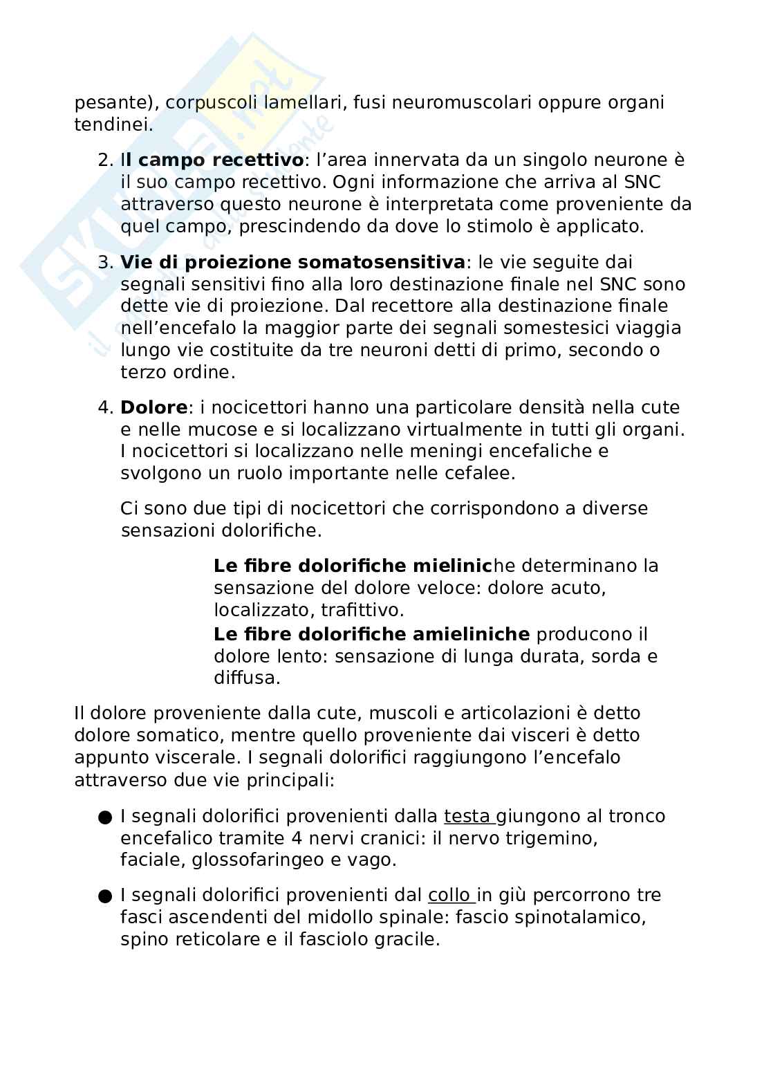 Anatomia ed istologia - organi di senso Pag. 2