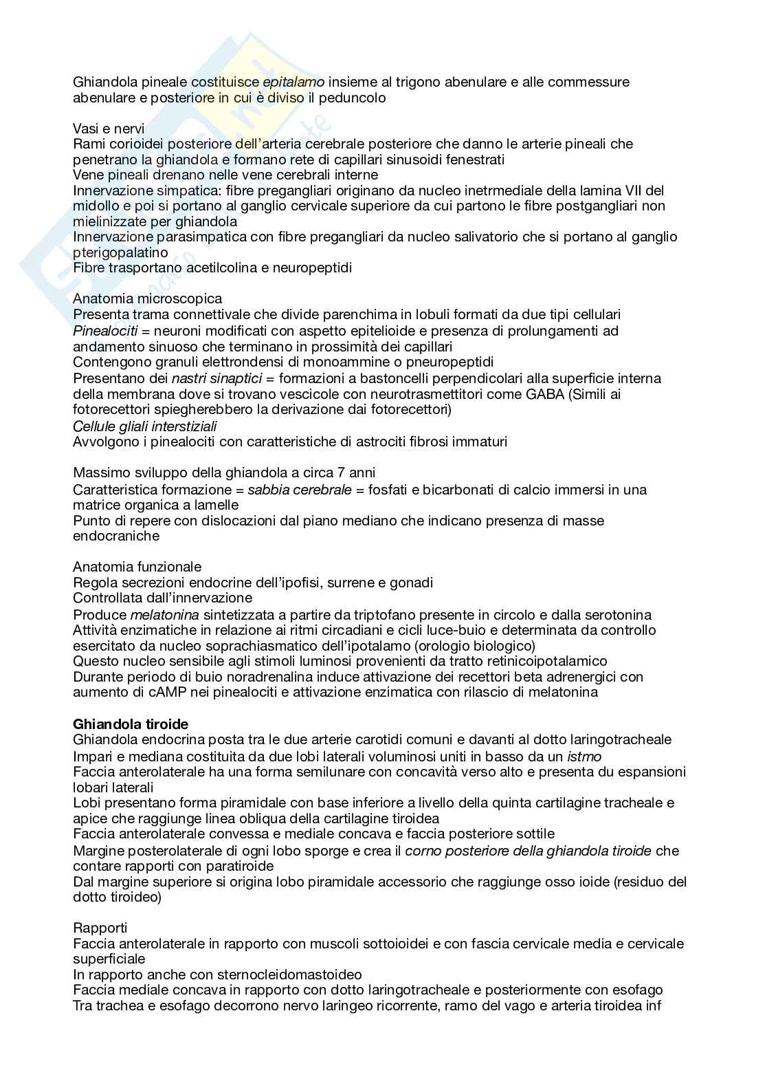 Riassunto esame Anatomia umana, Prof. Zecchi Sandra, libro consigliato Trattato di anatomia umana, Anastasi  Pag. 6