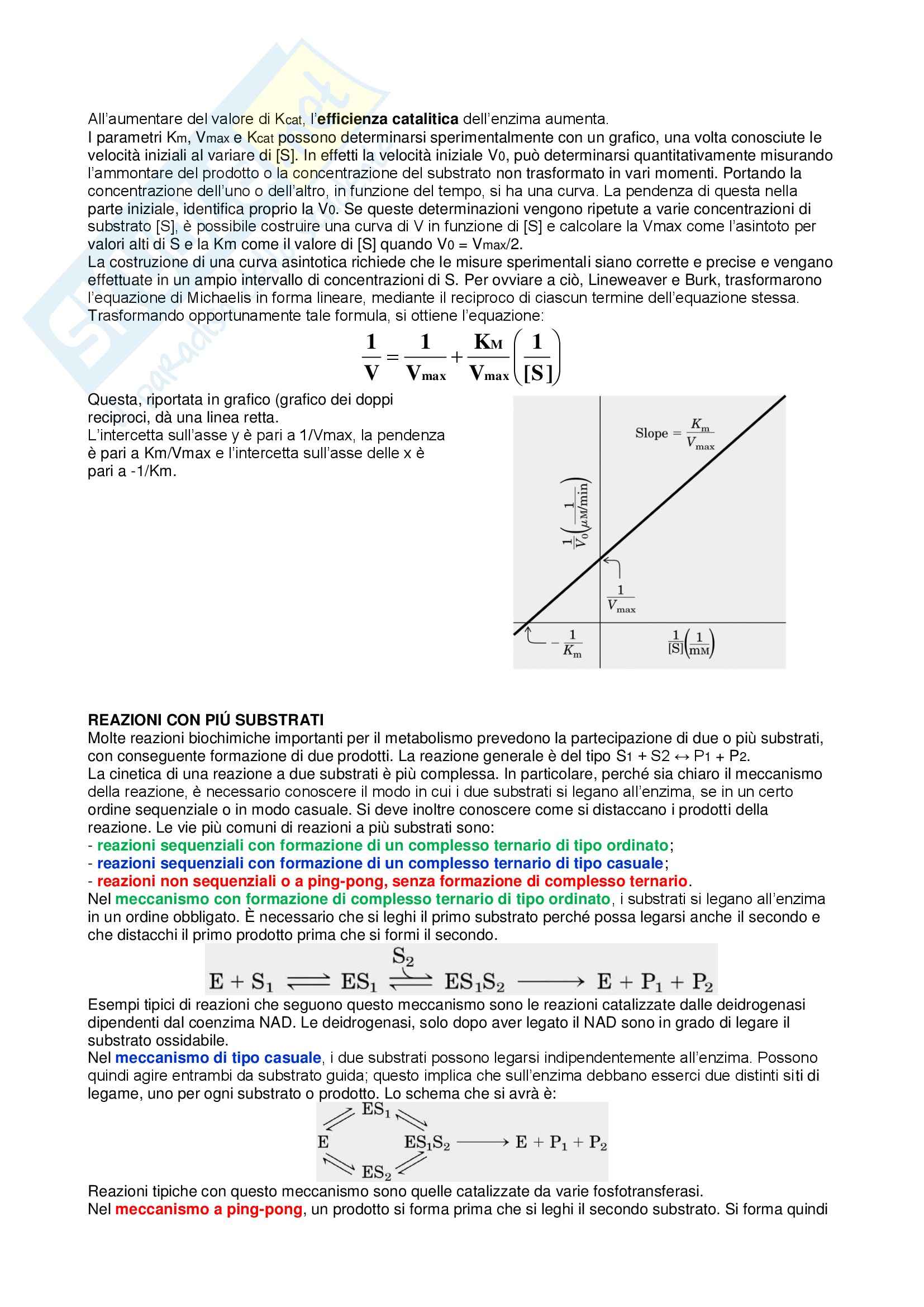 Riassunto esame Biochimica Agraria, prof. Spagnuolo Pag. 16