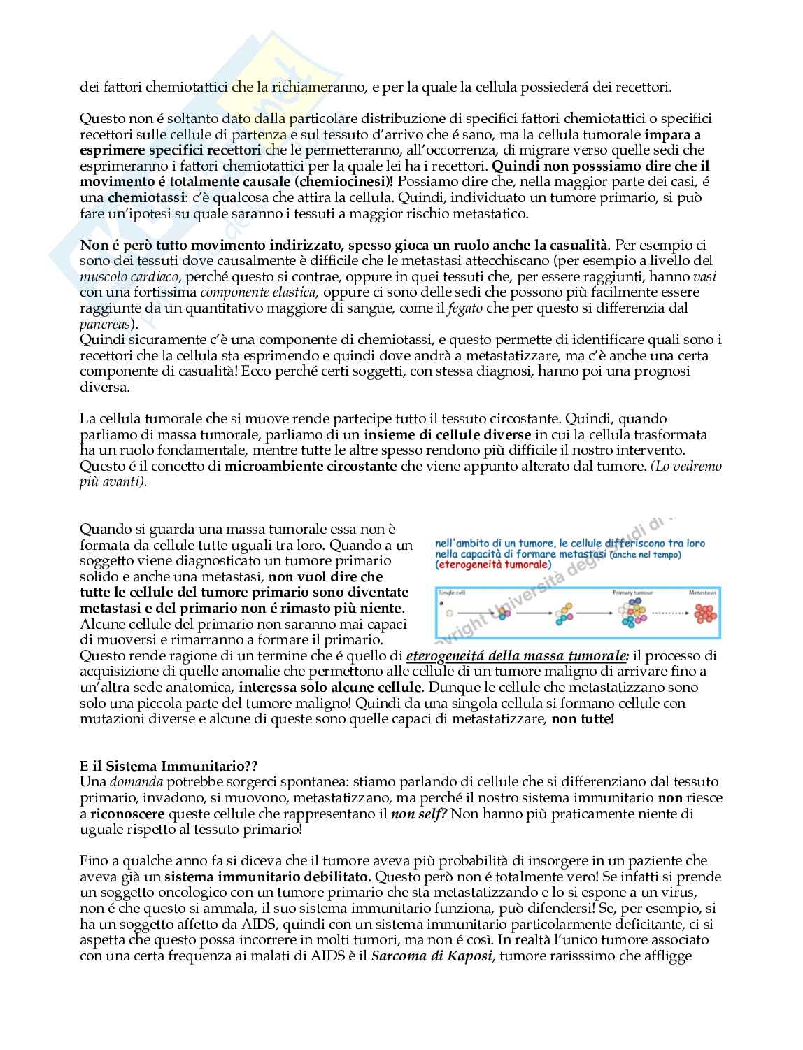 Cancerogenesi Pag. 11