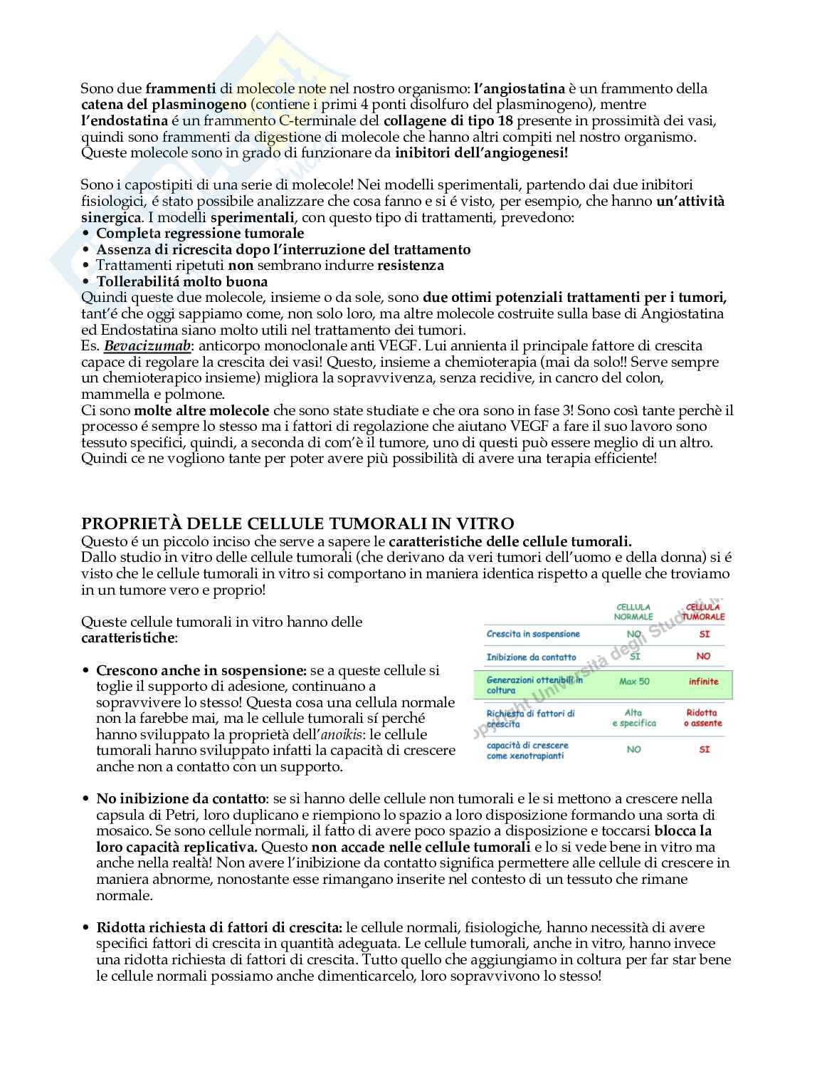 Cancerogenesi Pag. 16