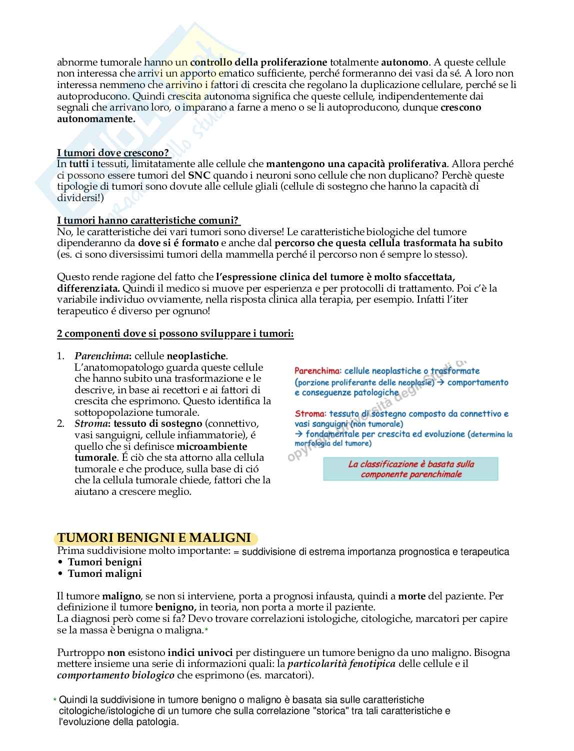 Cancerogenesi Pag. 2
