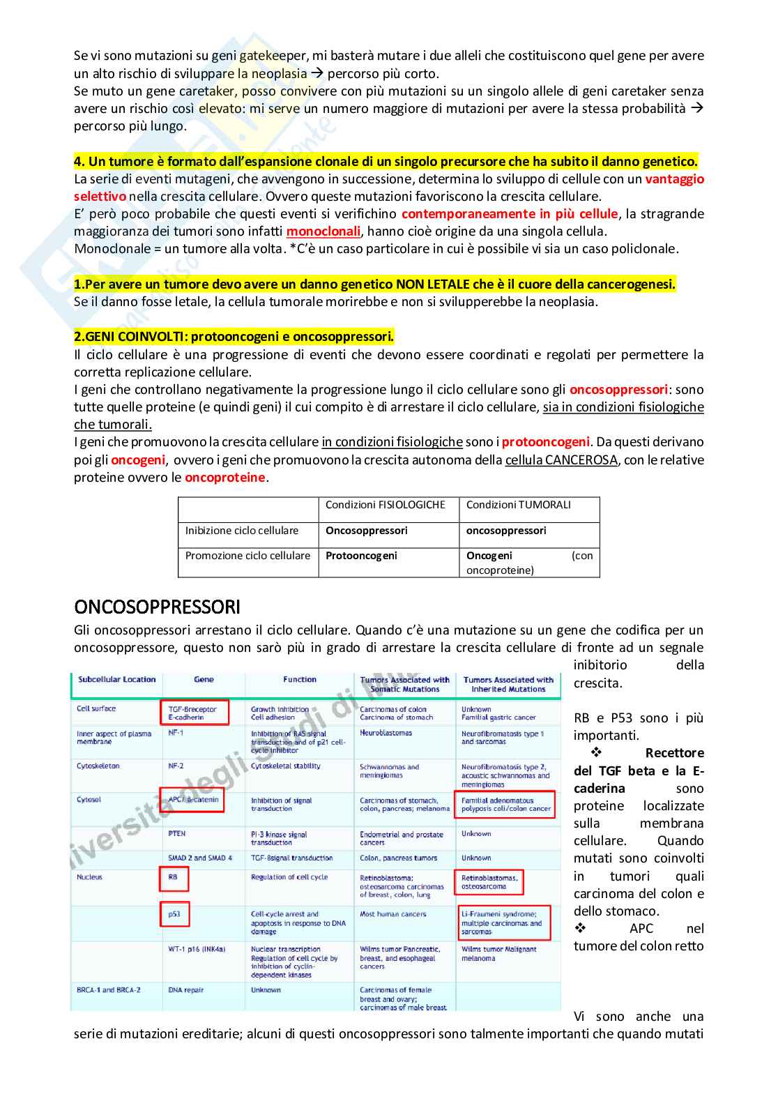 Cancerogenesi Pag. 21