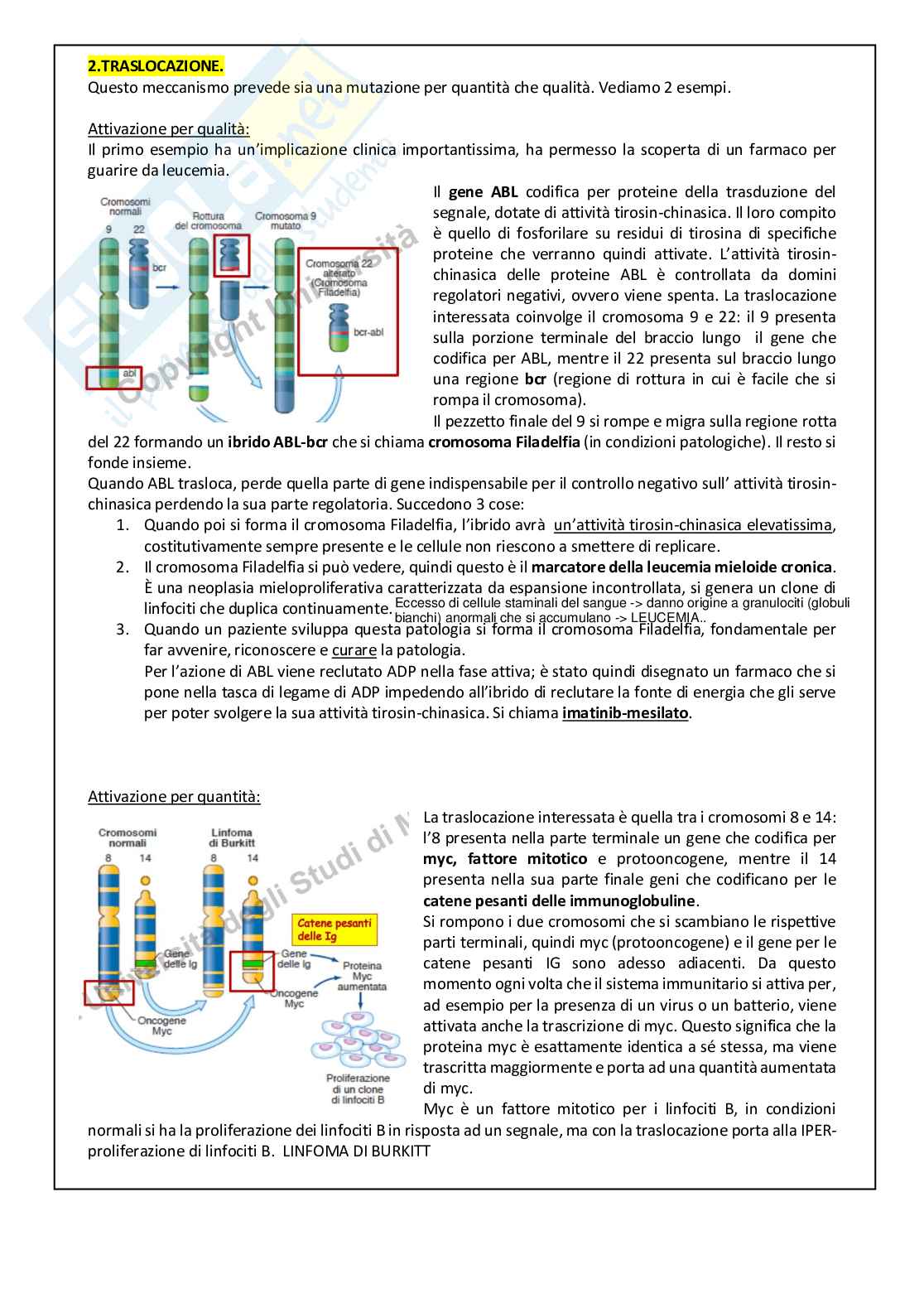 Cancerogenesi Pag. 26