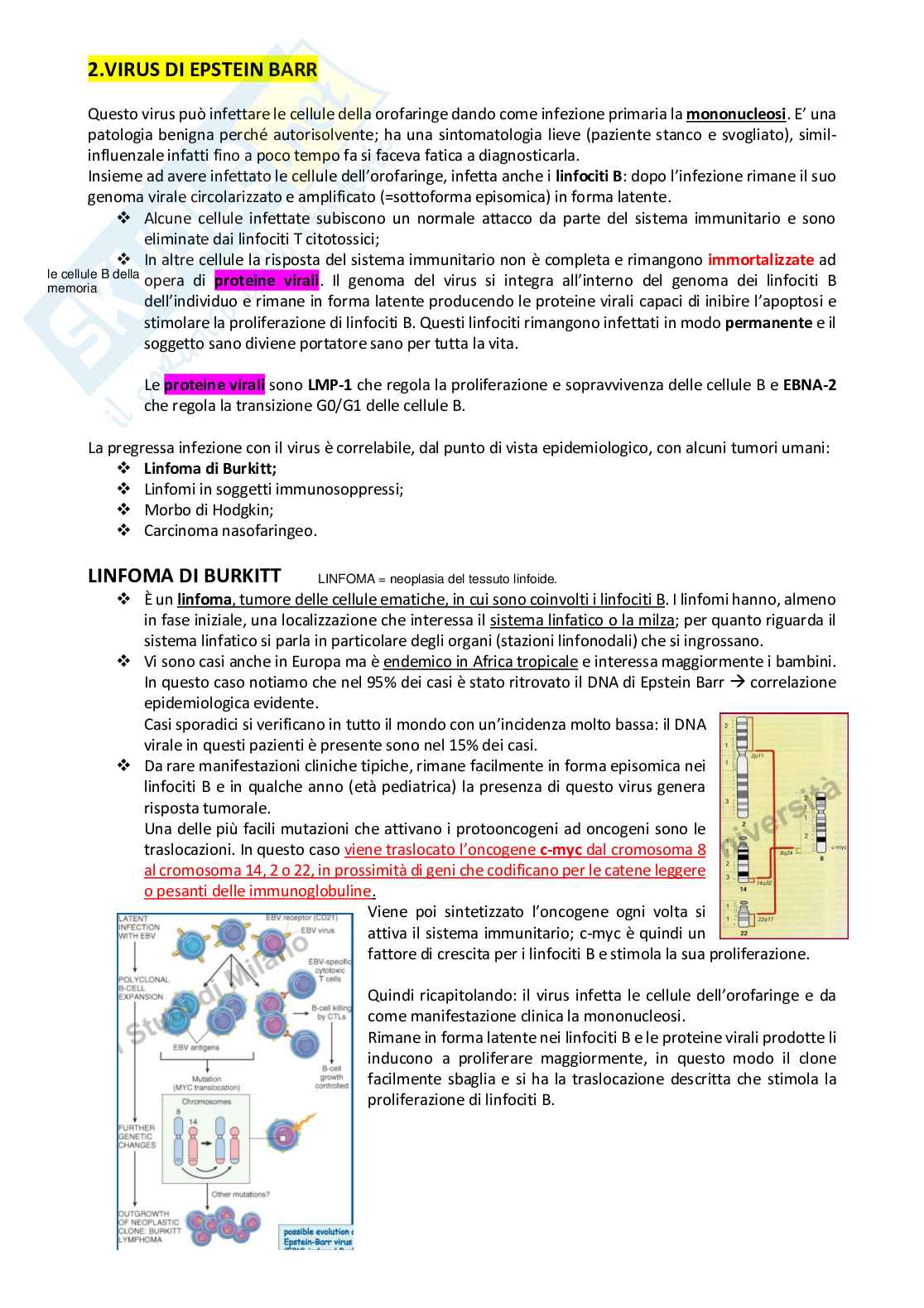 Cancerogenesi Pag. 31