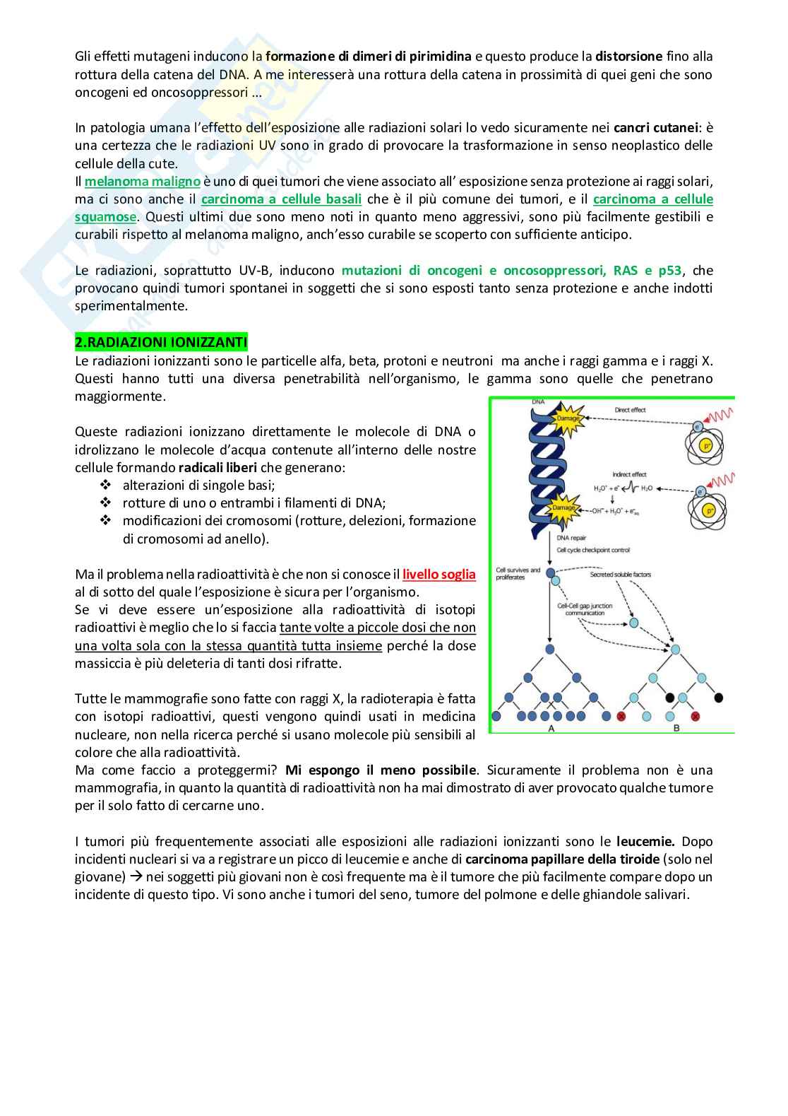 Cancerogenesi Pag. 36