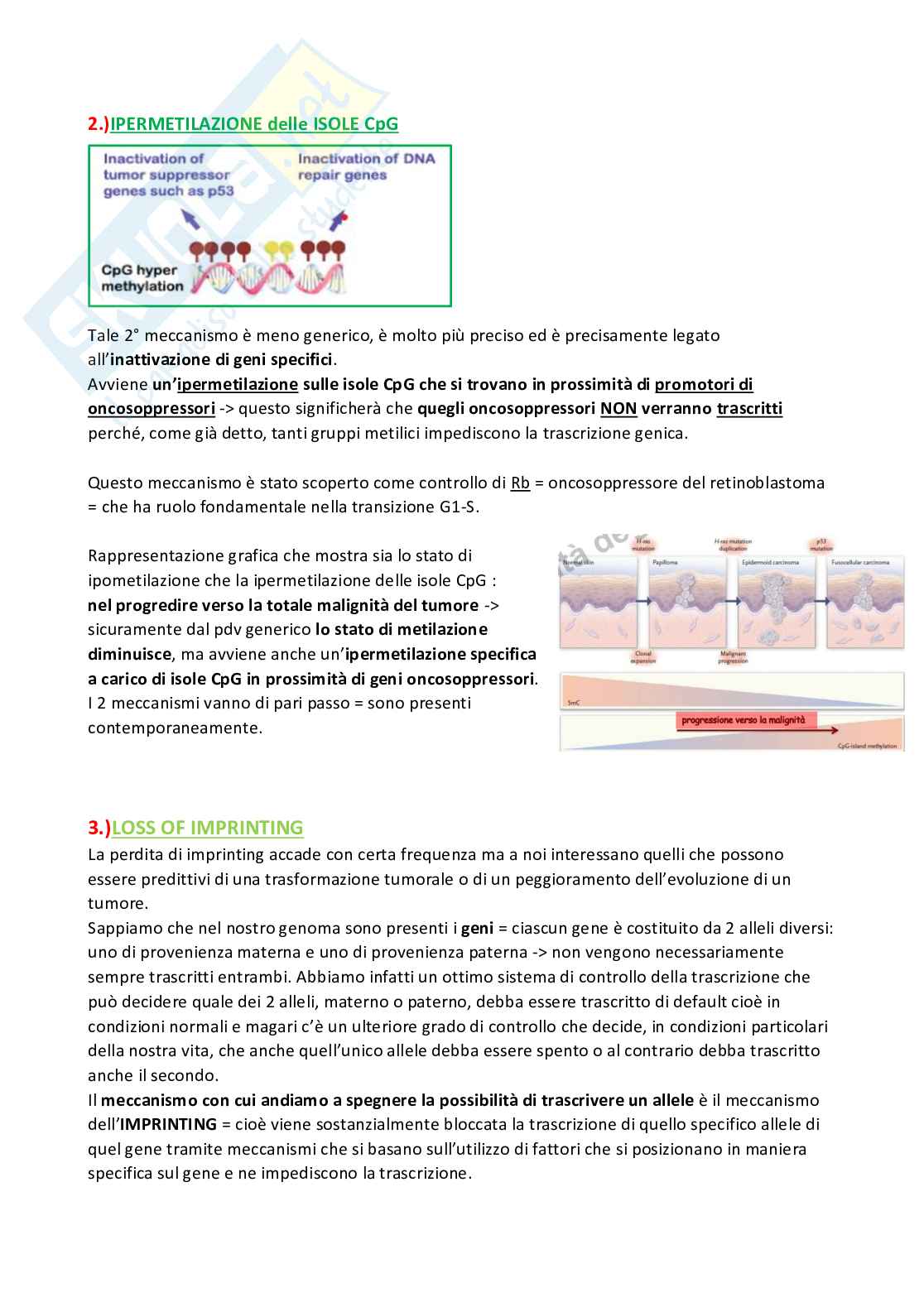 Cancerogenesi Pag. 46