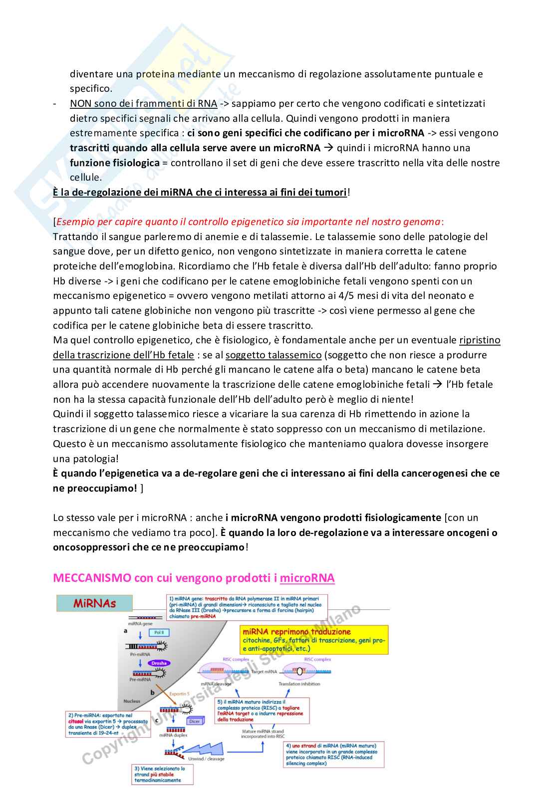 Cancerogenesi Pag. 51