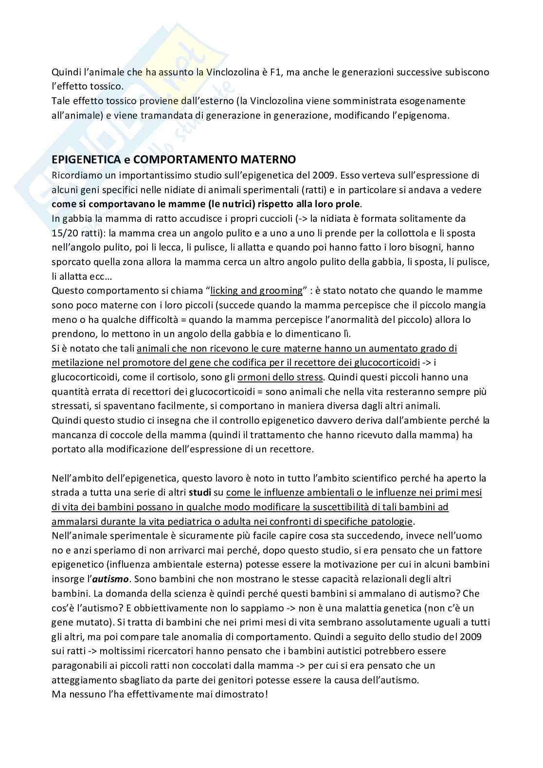Cancerogenesi Pag. 56