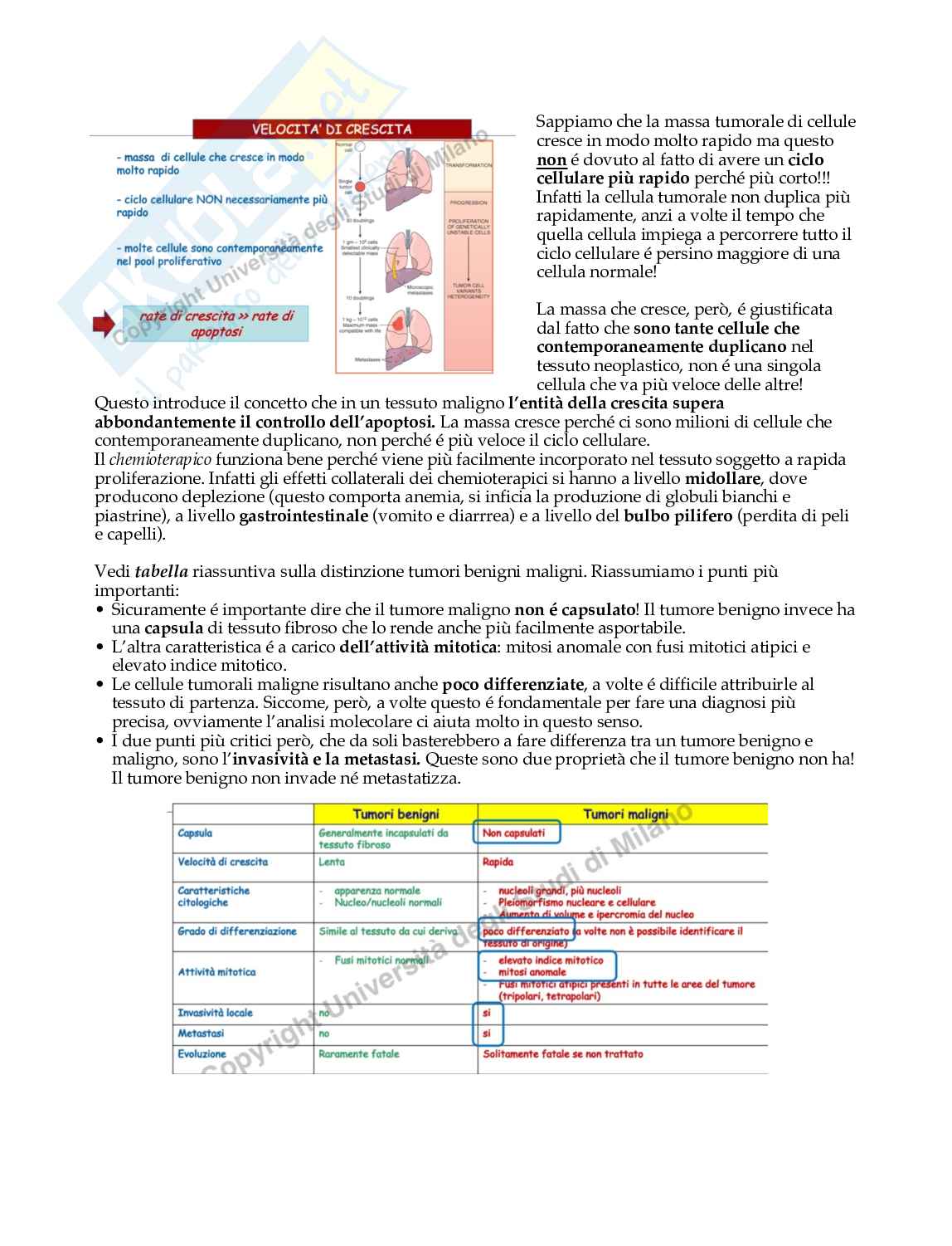 Cancerogenesi Pag. 6
