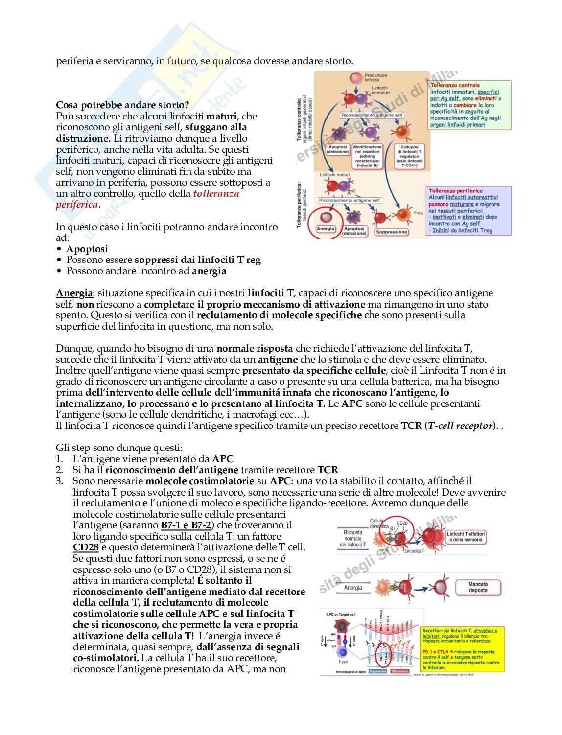 Cancerogenesi Pag. 66