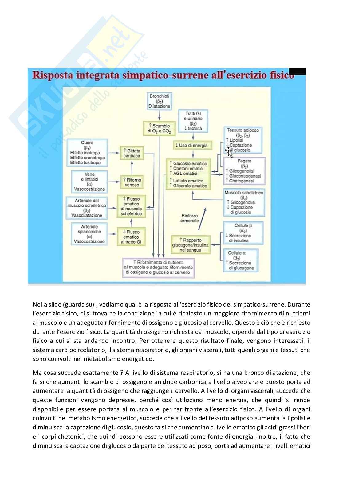 Fisiologia generale - Parte  6 Pag. 11