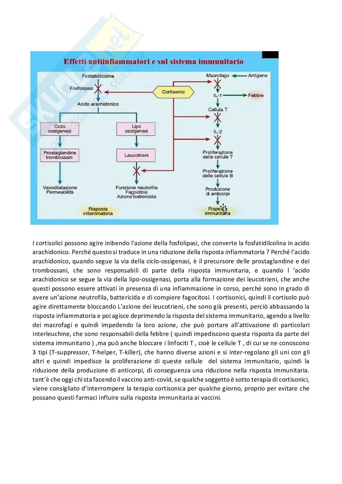 Fisiologia generale - Parte  6 Pag. 2