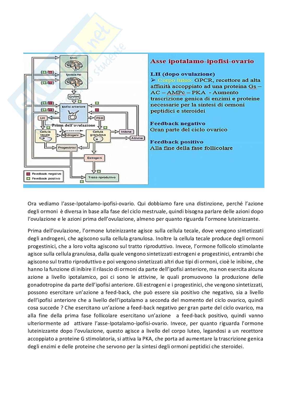 Fisiologia generale - Parte  6 Pag. 21