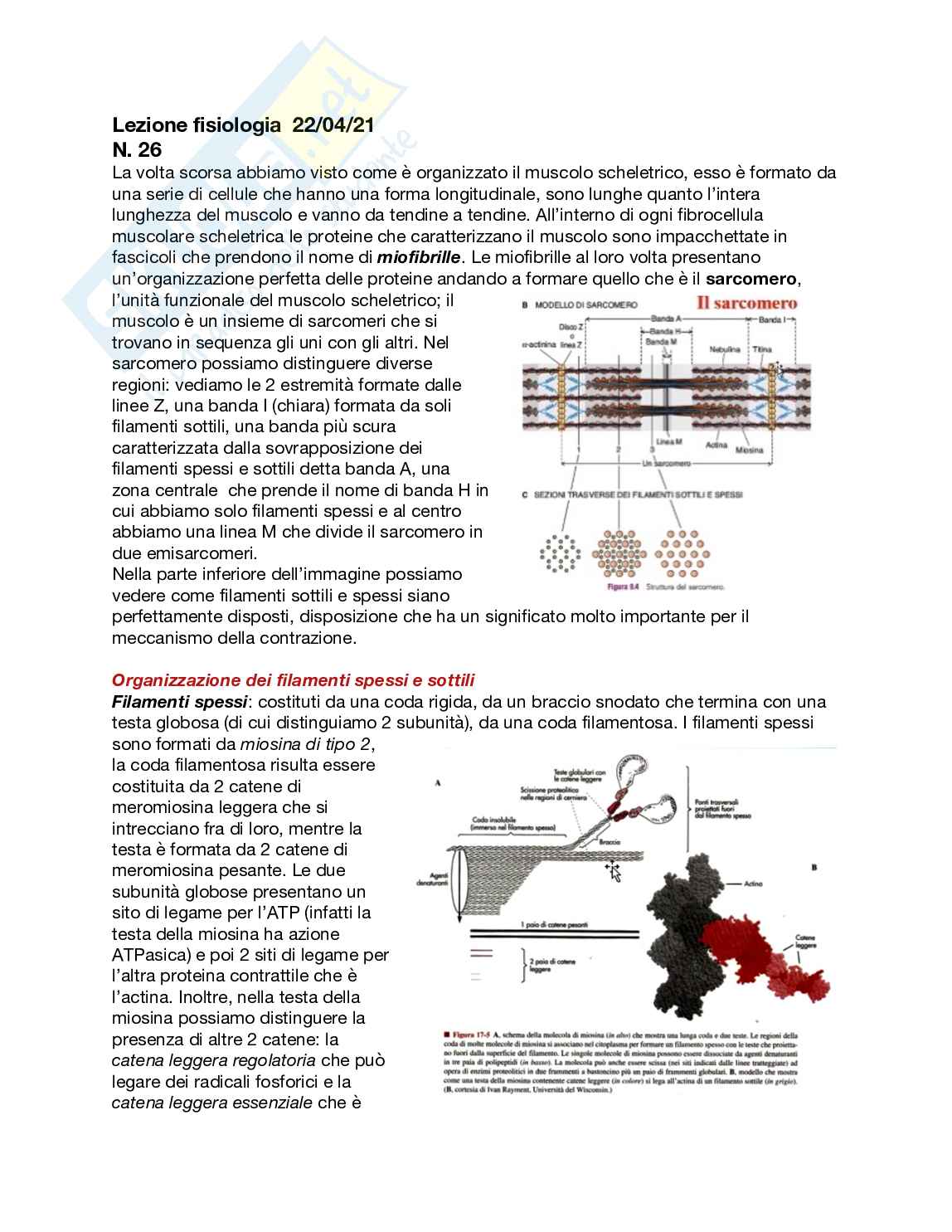 Fisiologia generale - Parte  6 Pag. 31