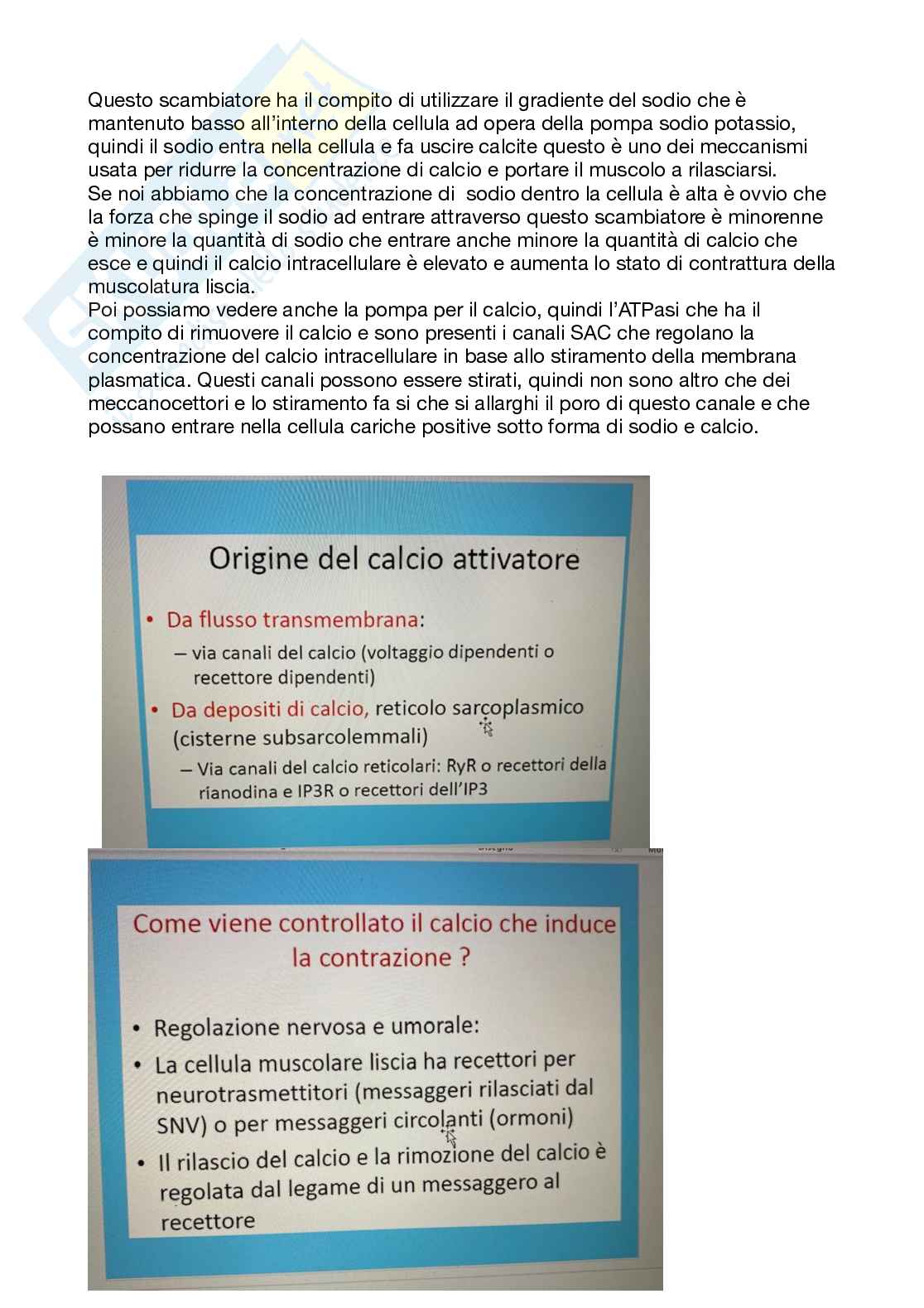 Fisiologia generale - Parte  6 Pag. 66