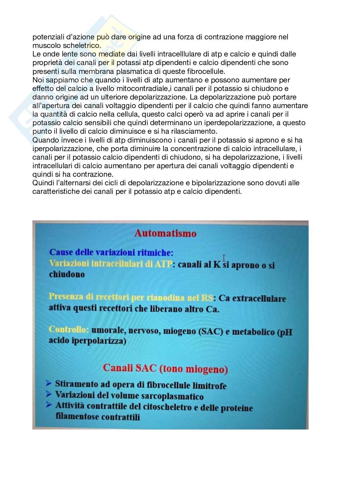 Fisiologia generale - Parte  6 Pag. 71