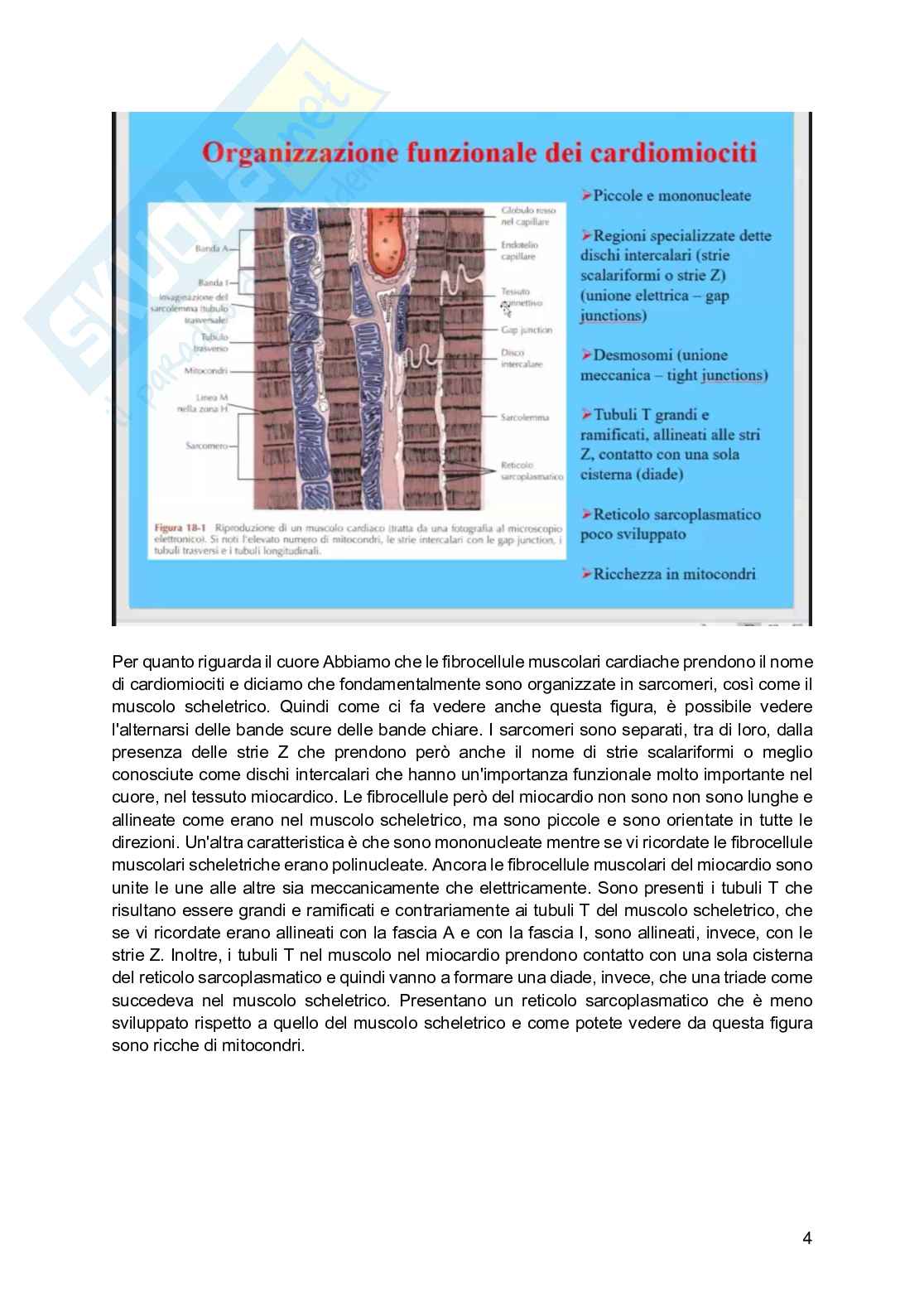 Fisiologia generale - Parte  6 Pag. 76