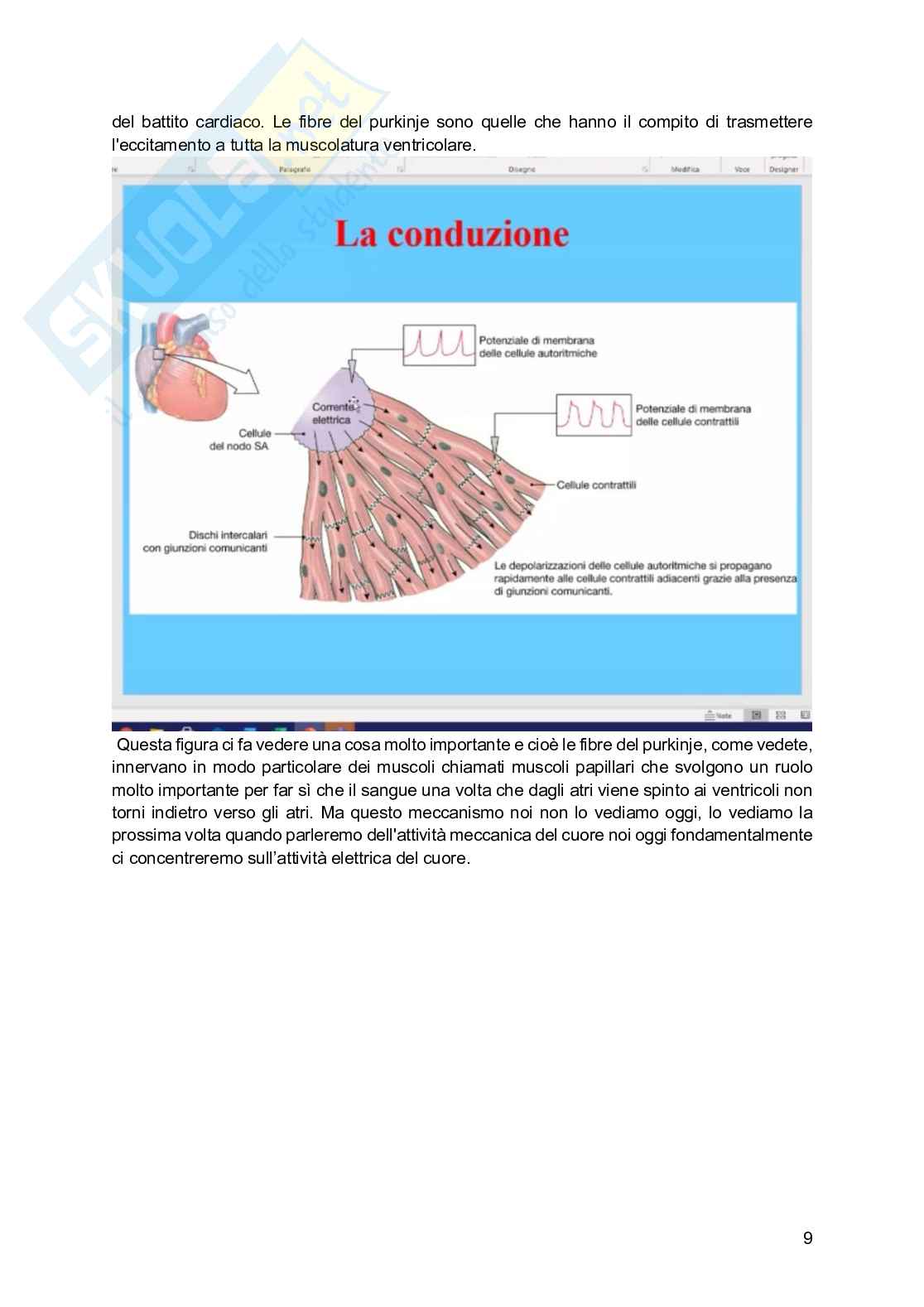 Fisiologia generale - Parte  6 Pag. 81