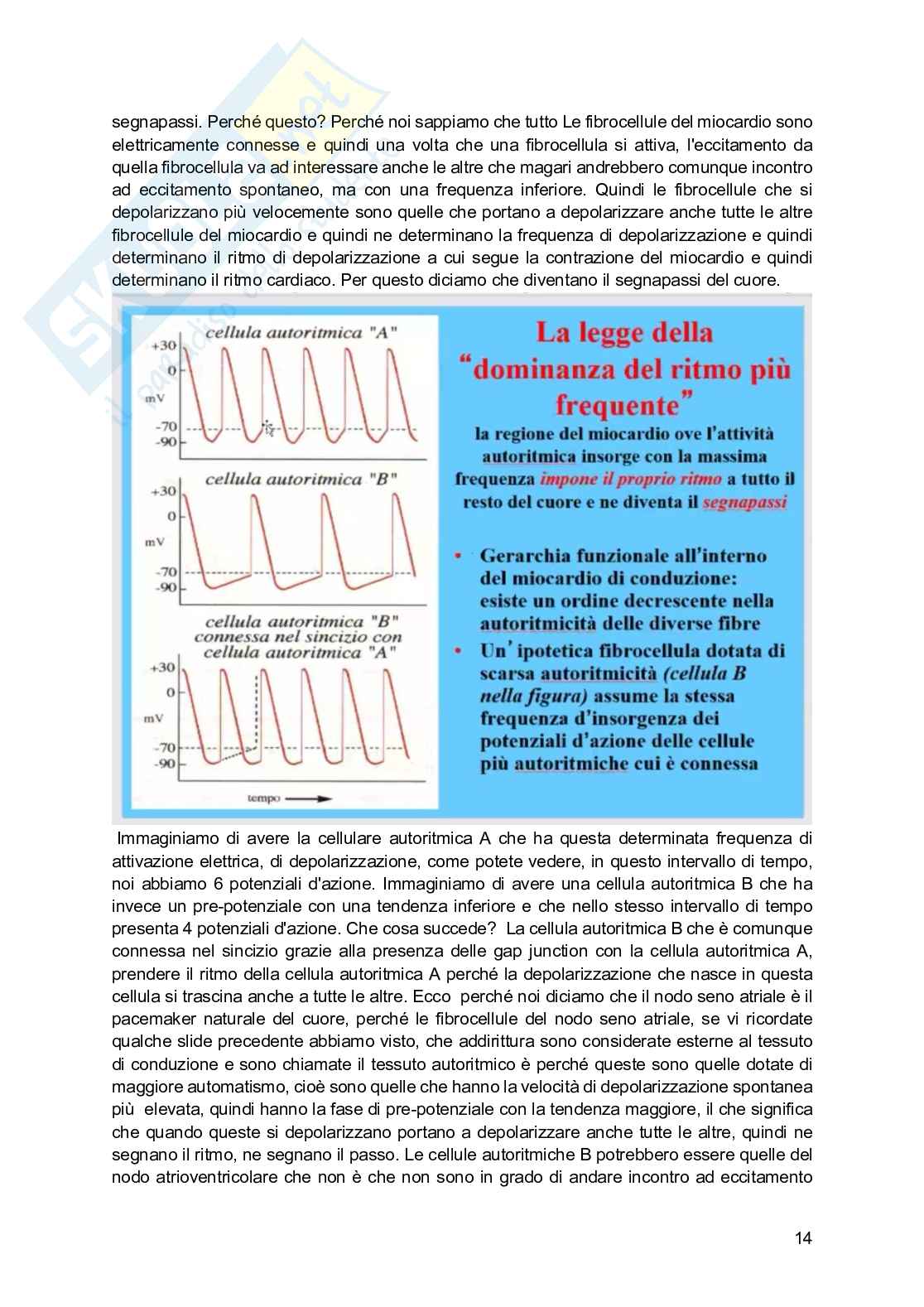 Fisiologia generale - Parte  6 Pag. 86