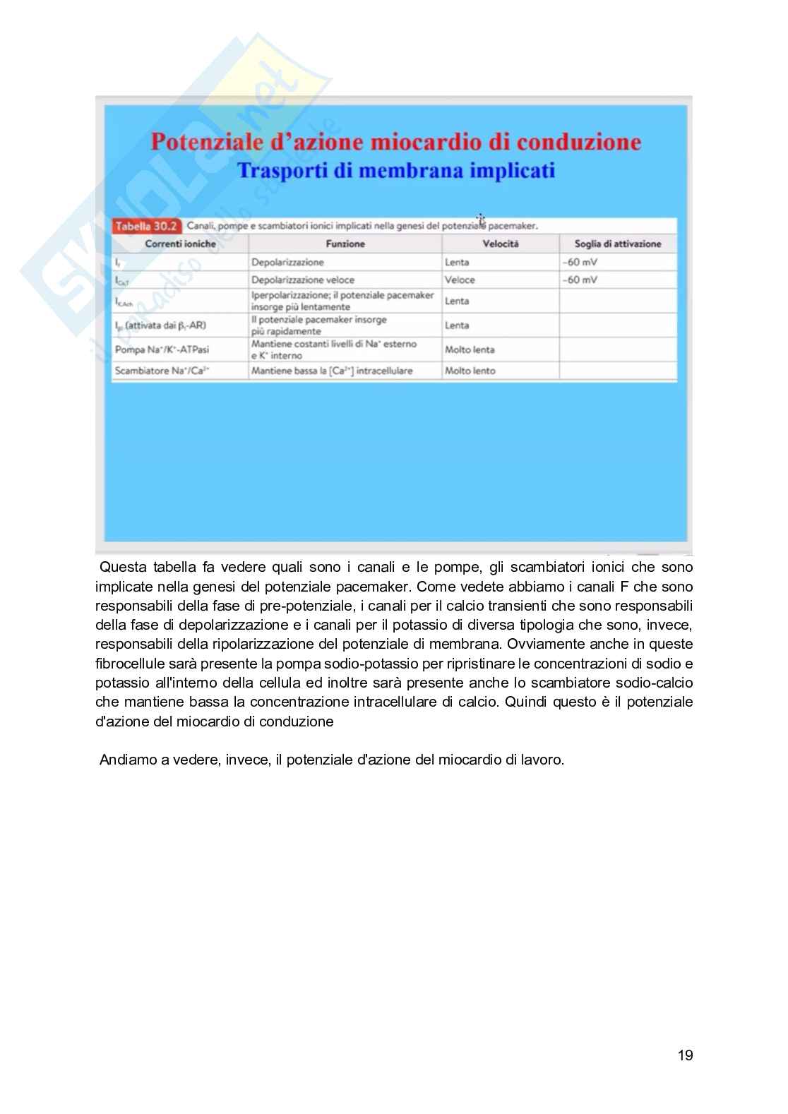 Fisiologia generale - Parte  6 Pag. 91