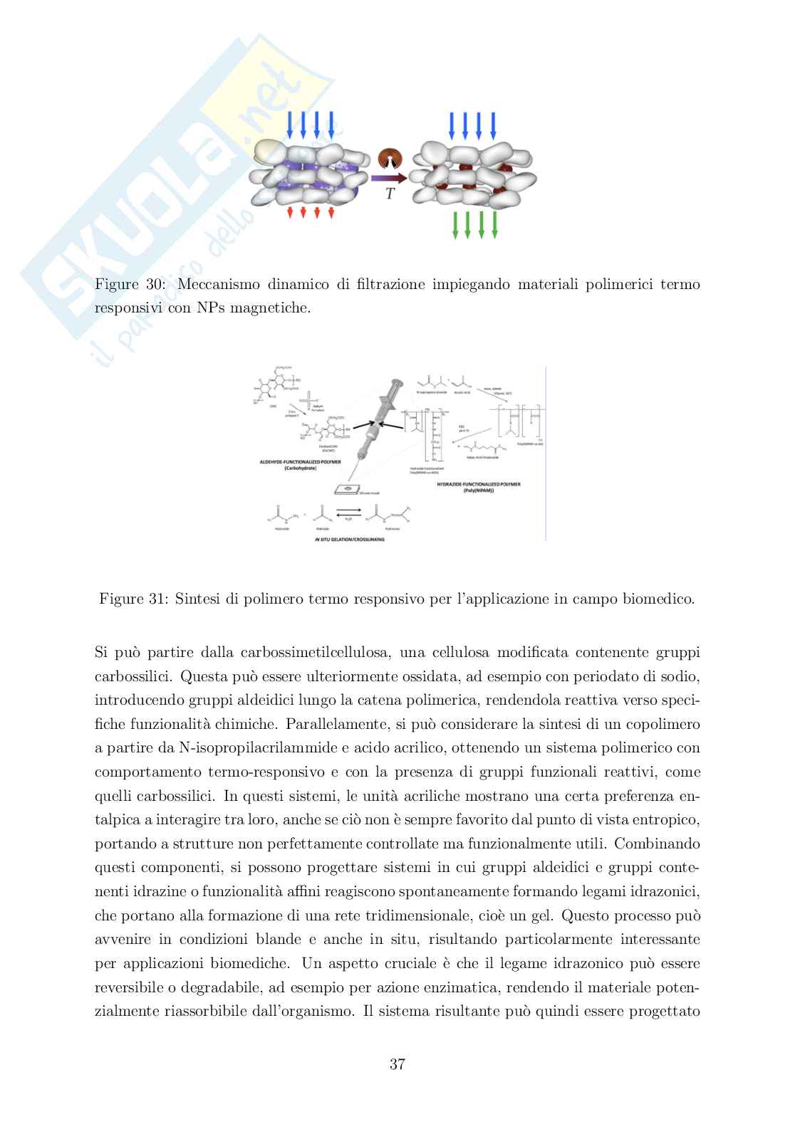 Nanomateriali funzionali Pag. 36