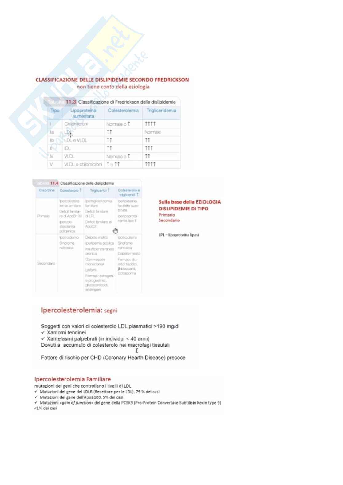 Metodi di laboratorio e valutazione clinica del rischio cardiovascolare nelle dislipidemie Pag. 2