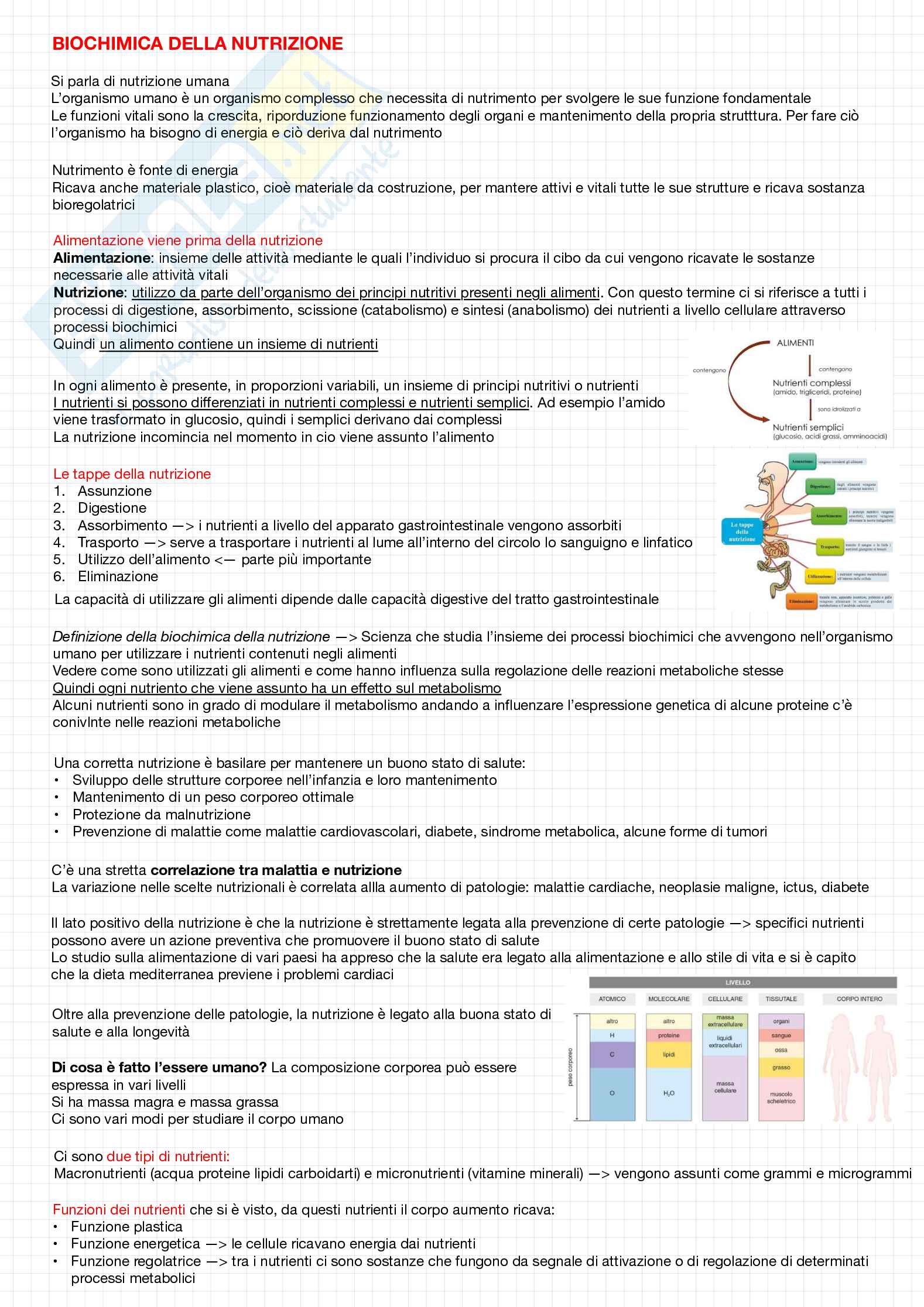 Biochimica della nutrizione Pag. 1