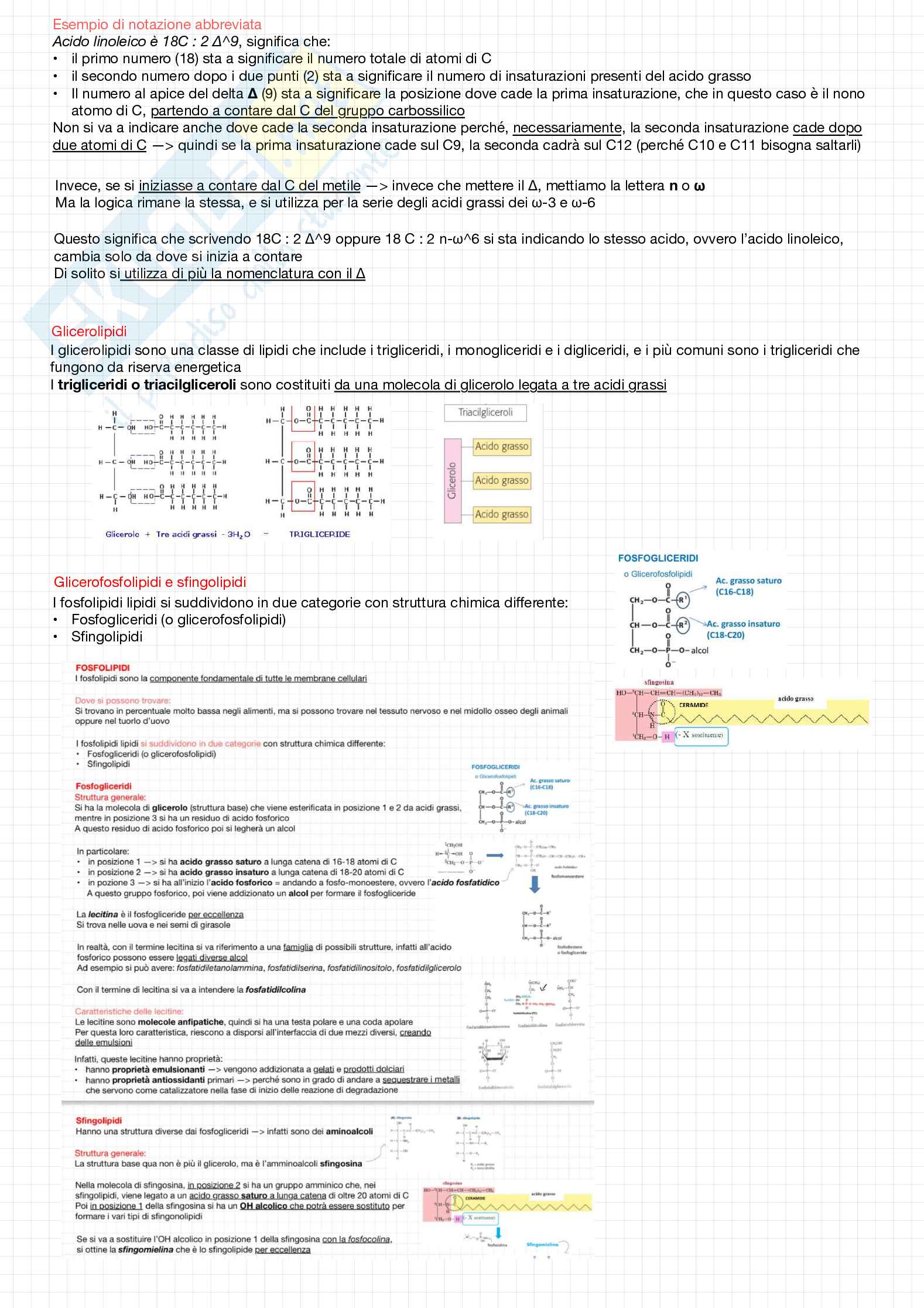 Biochimica della nutrizione Pag. 11