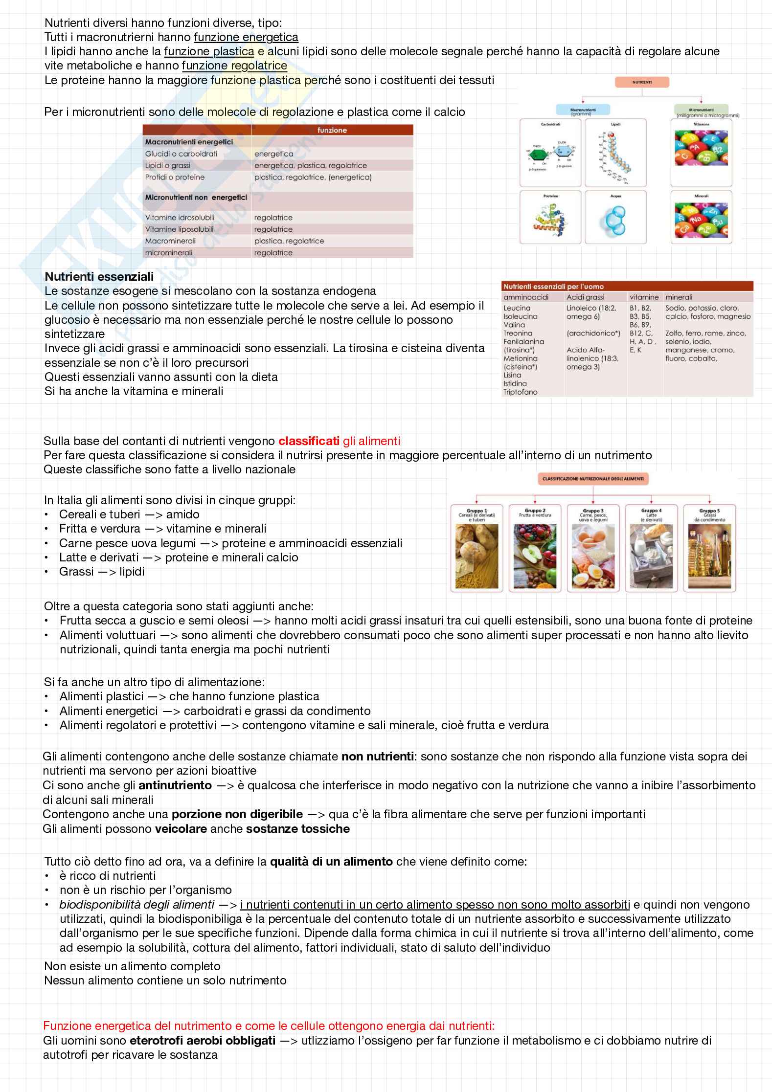 Biochimica della nutrizione Pag. 2