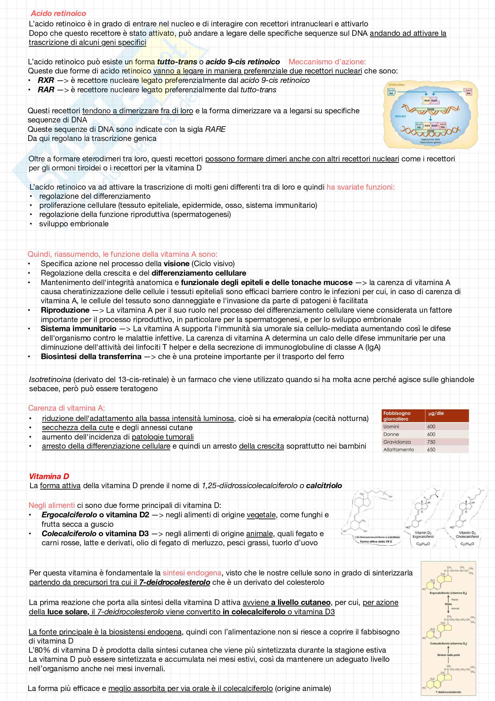 Biochimica della nutrizione Pag. 36