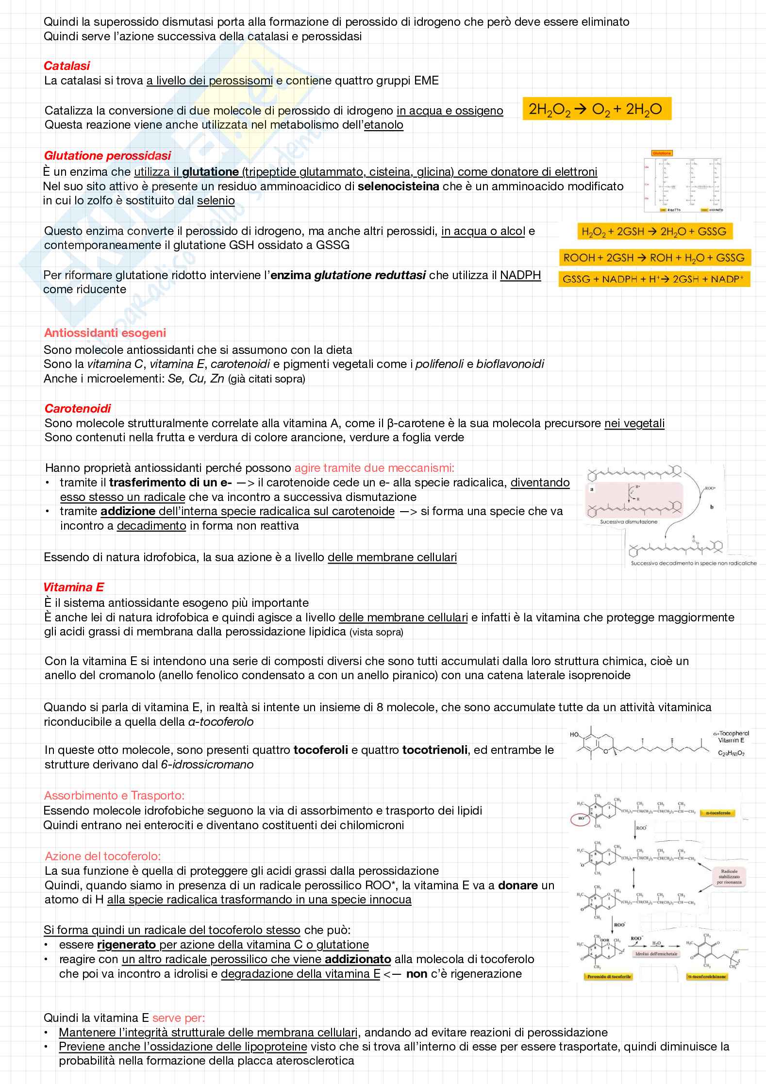 Biochimica della nutrizione Pag. 46
