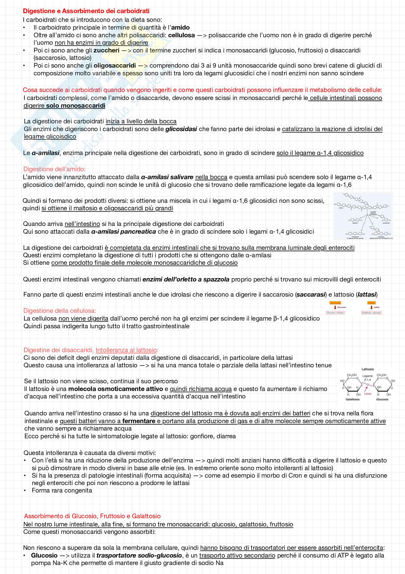 Biochimica della nutrizione Pag. 6
