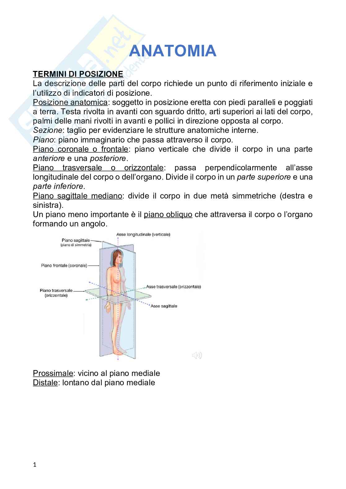 Anatomia umana Pag. 1