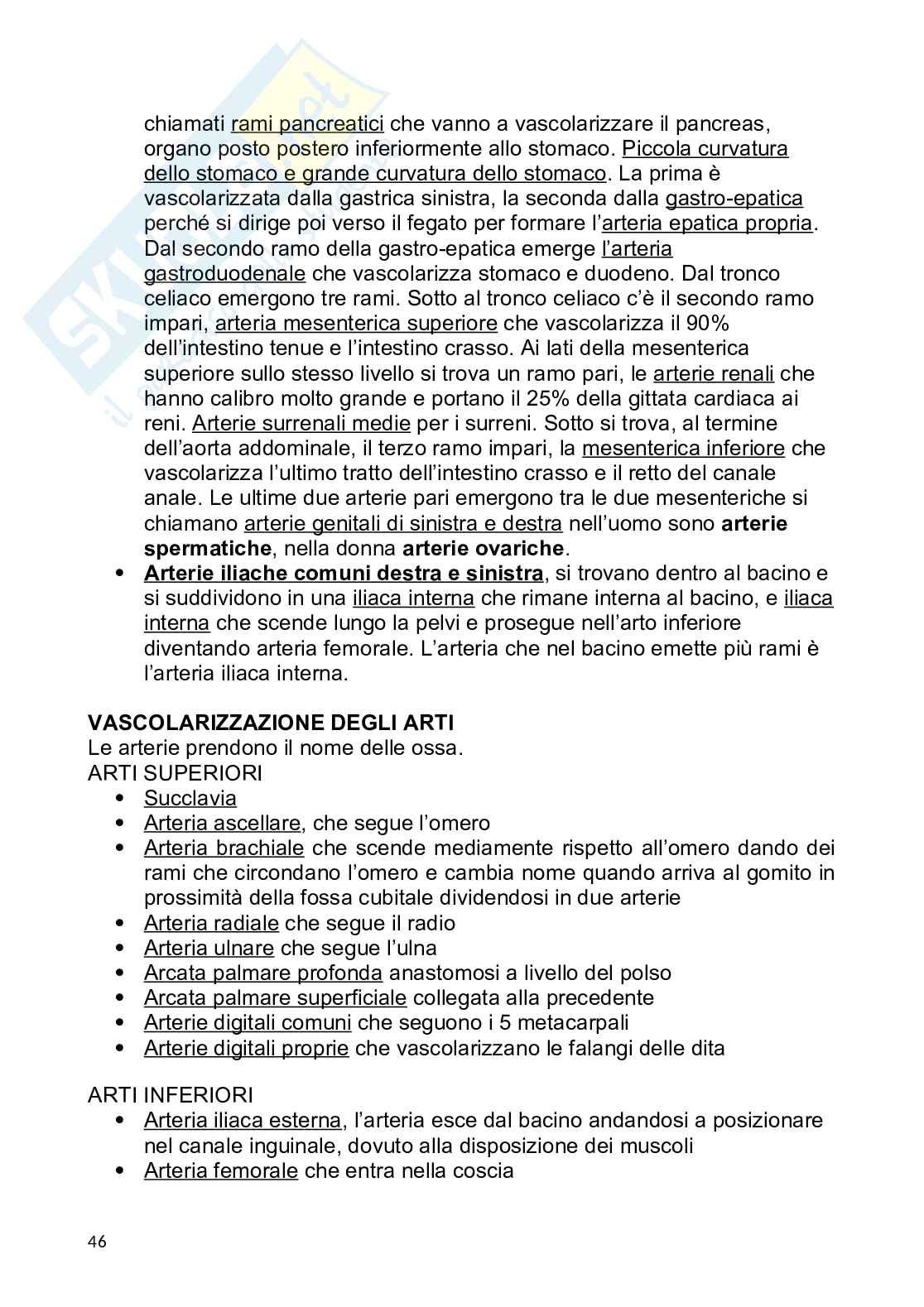 Anatomia umana Pag. 46