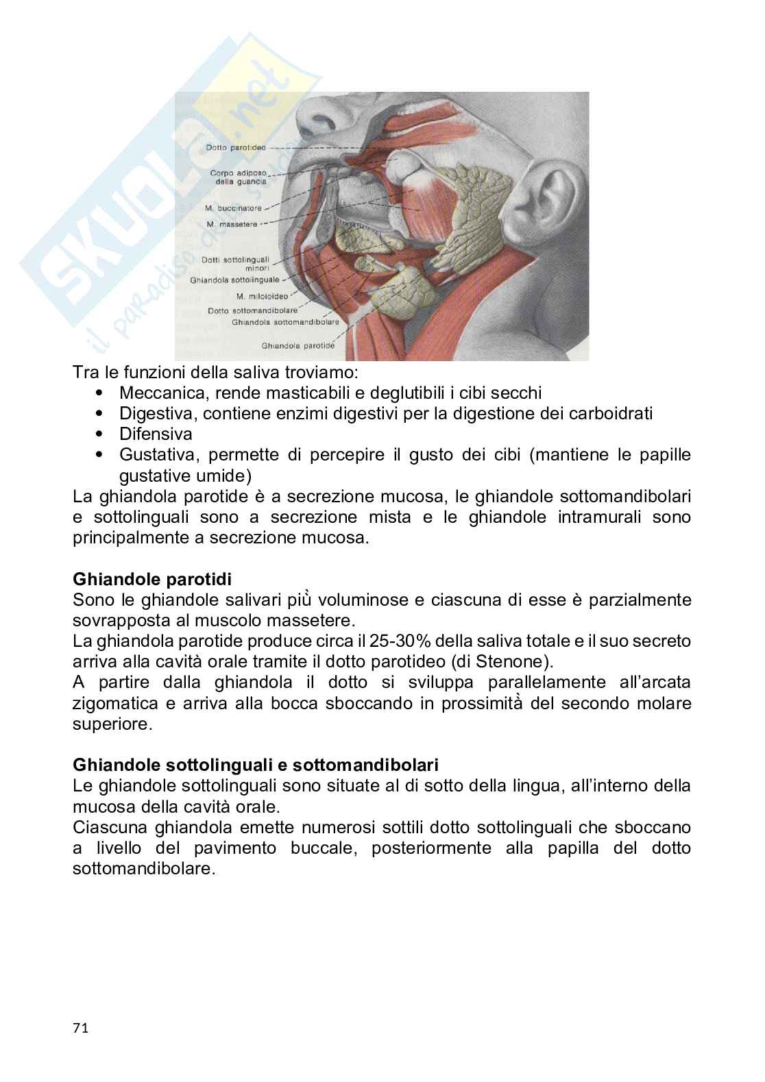 Anatomia umana Pag. 71