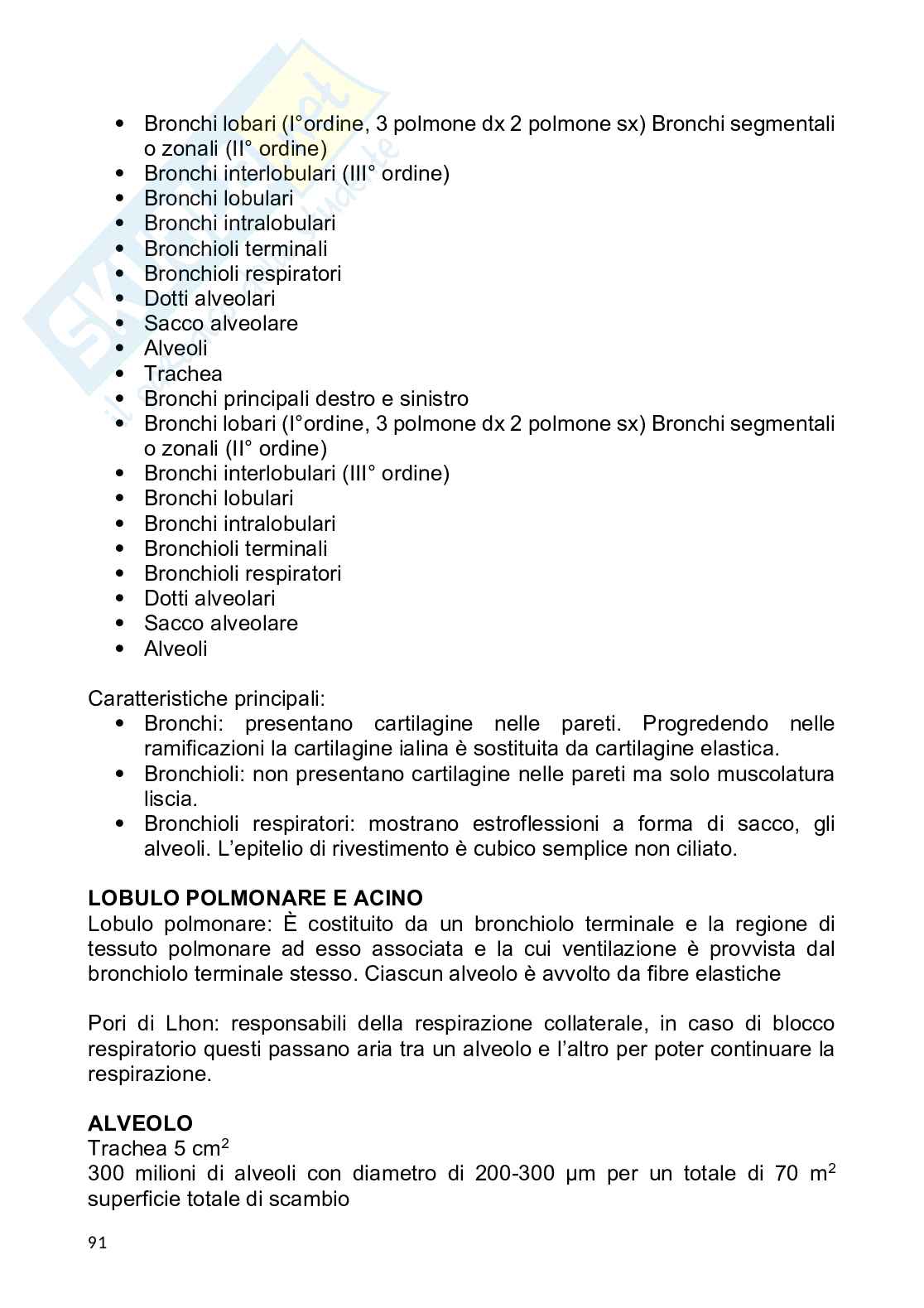 Anatomia umana Pag. 91